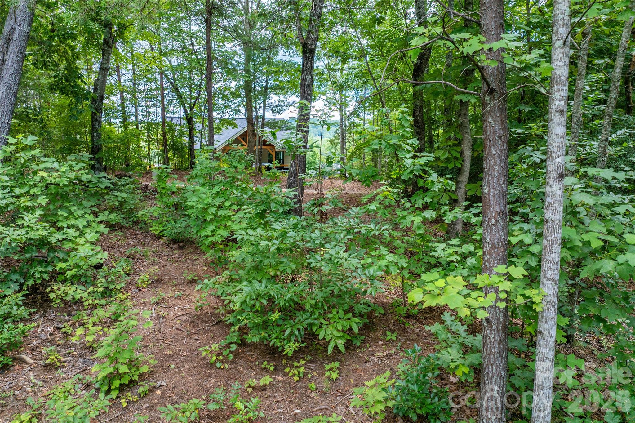 Lot at 5.5 Acres Dogwood Way, Lenoir, photo 12 of 16