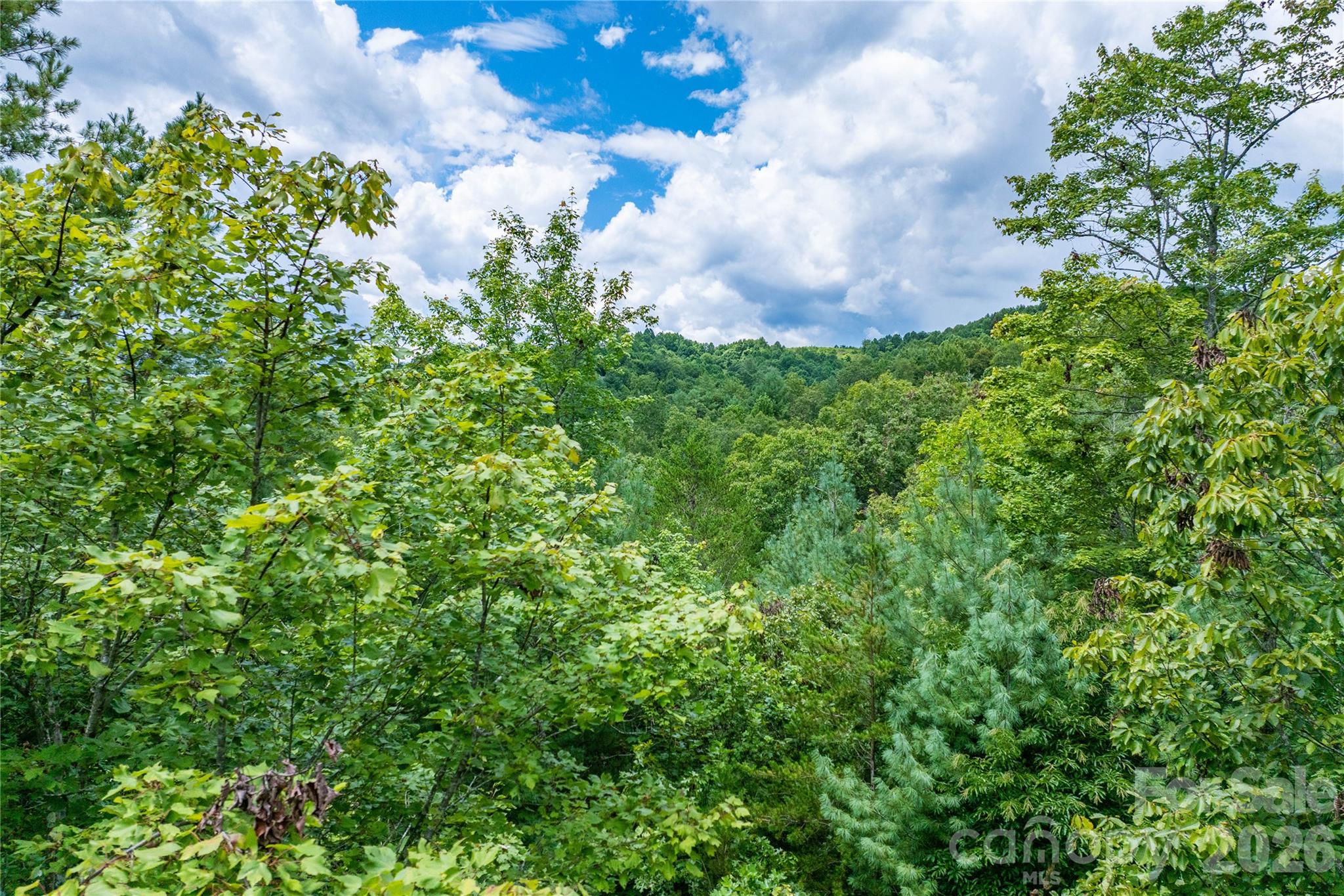 Lot at 5.5 Acres Dogwood Way, Lenoir, photo 15 of 16