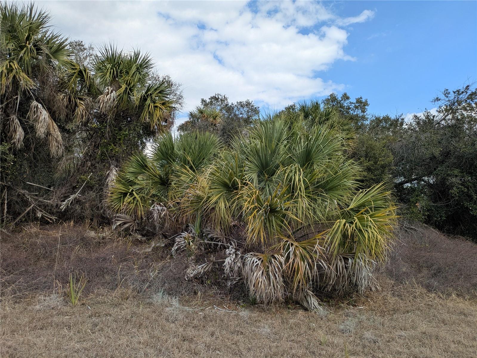 Land at CASCO CIR, NORTH PORT, photo 2 of 9