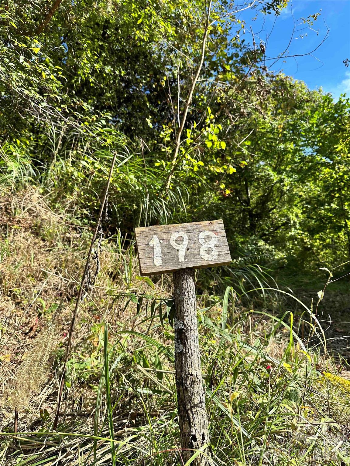 Lot at 94 Locust Grove Lane, Weaverville, photo 3 of 14
