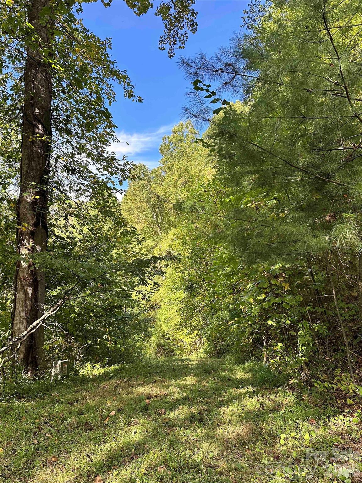 Lot at 94 Locust Grove Lane, Weaverville, photo 2 of 14