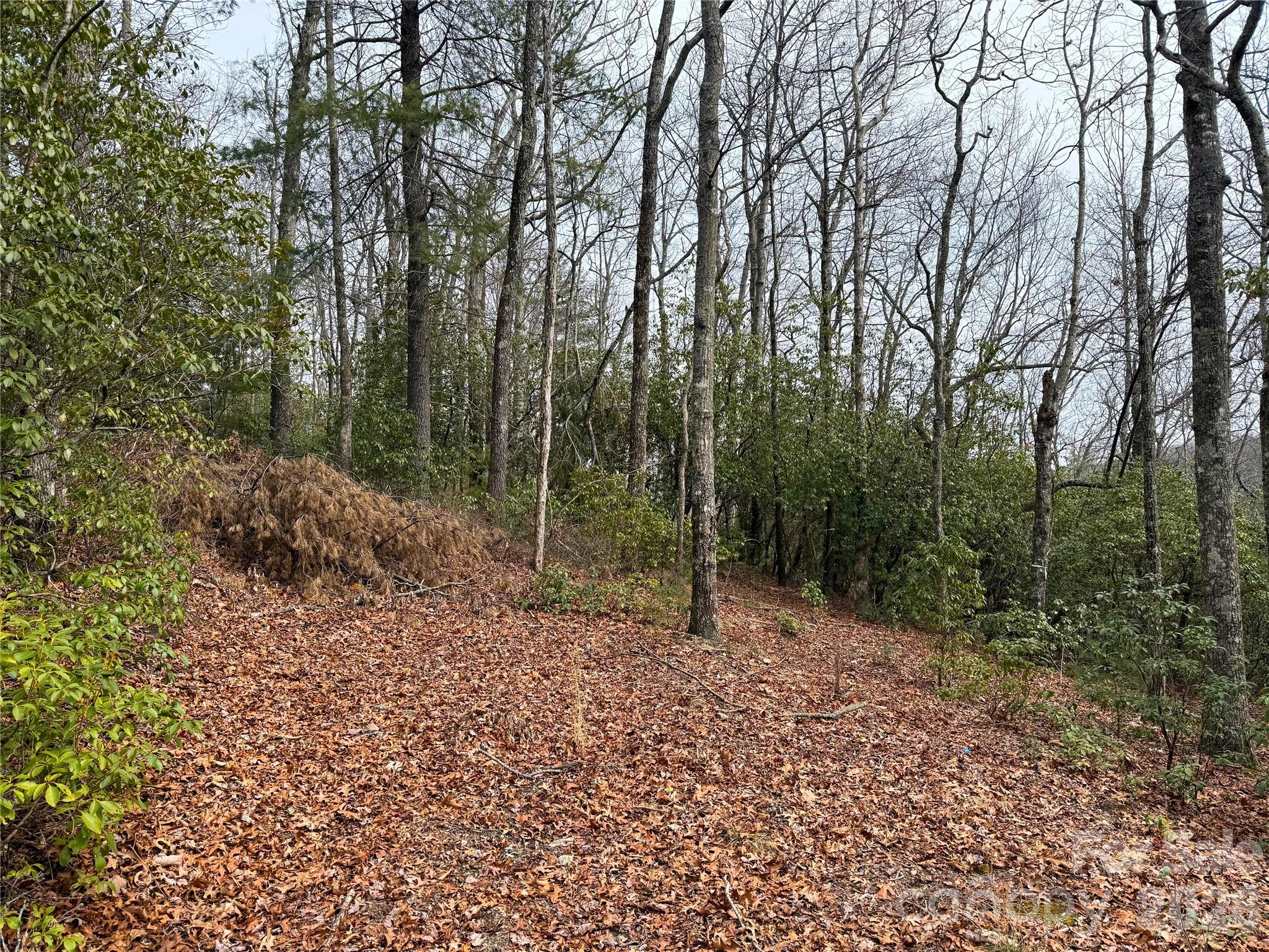 Lot at TBD Laurel Thicket Lane, Brevard, photo 10 of 19