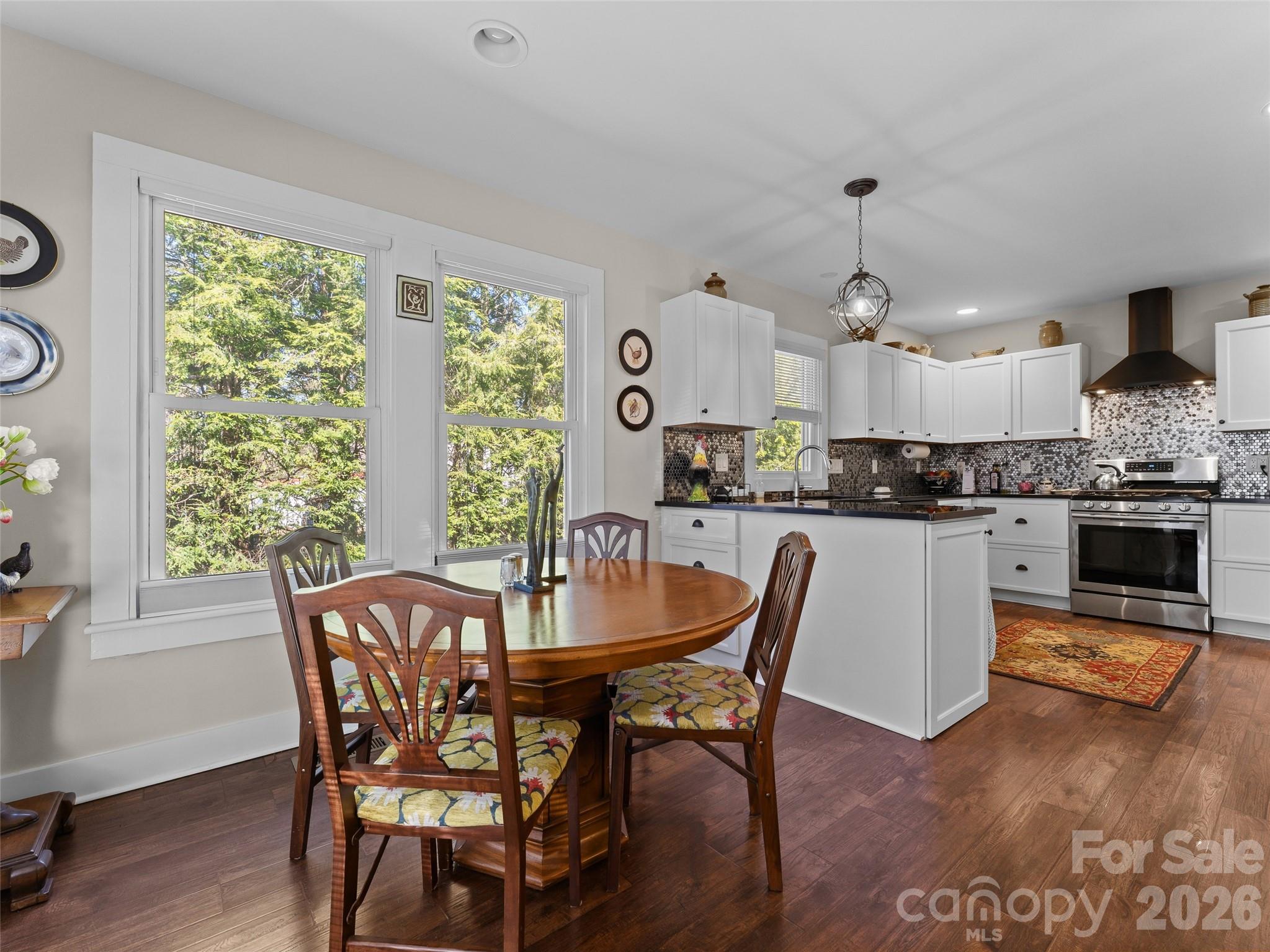 Single Family Residence at 294 S Caldwell Street, Brevard, photo 13 of 41