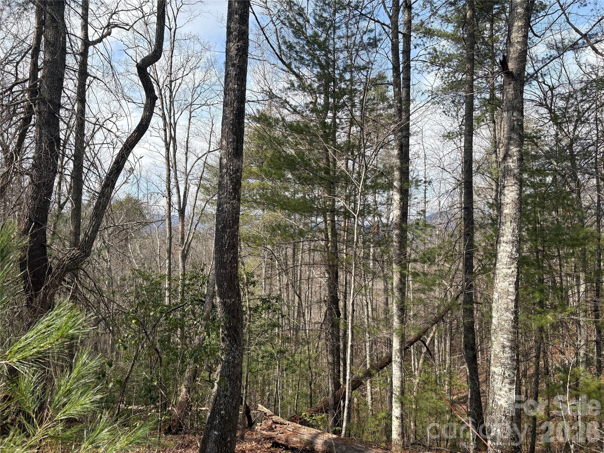Lot at 00 Round Hill Road, Bryson City, photo 12 of 27