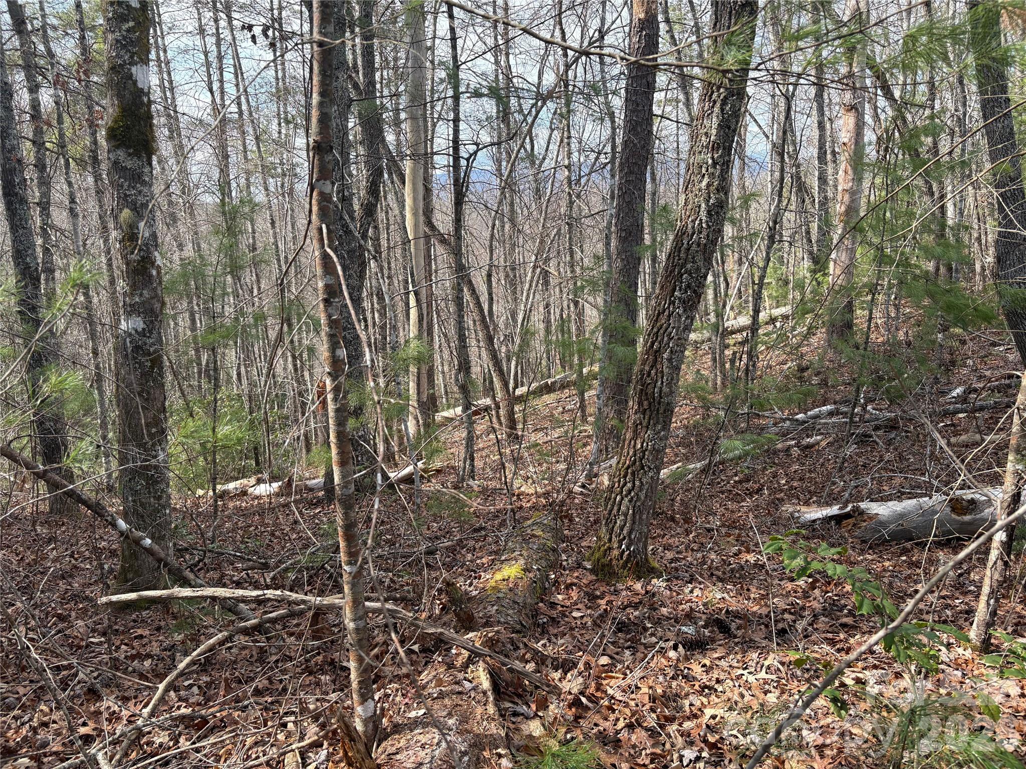 Lot at 00 Round Hill Road, Bryson City, photo 17 of 27