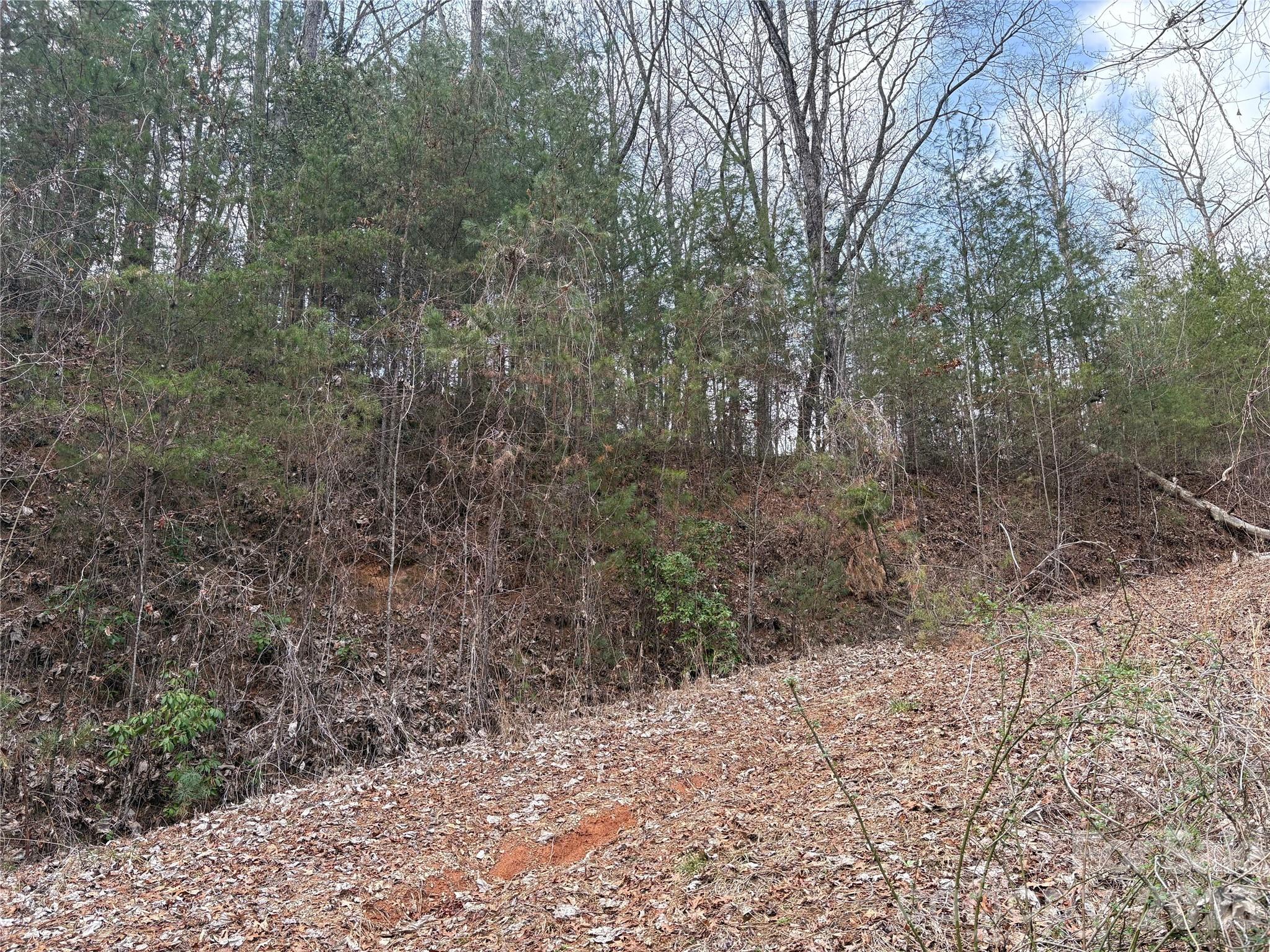 Lot at 00 Round Hill Road, Bryson City, photo 23 of 27