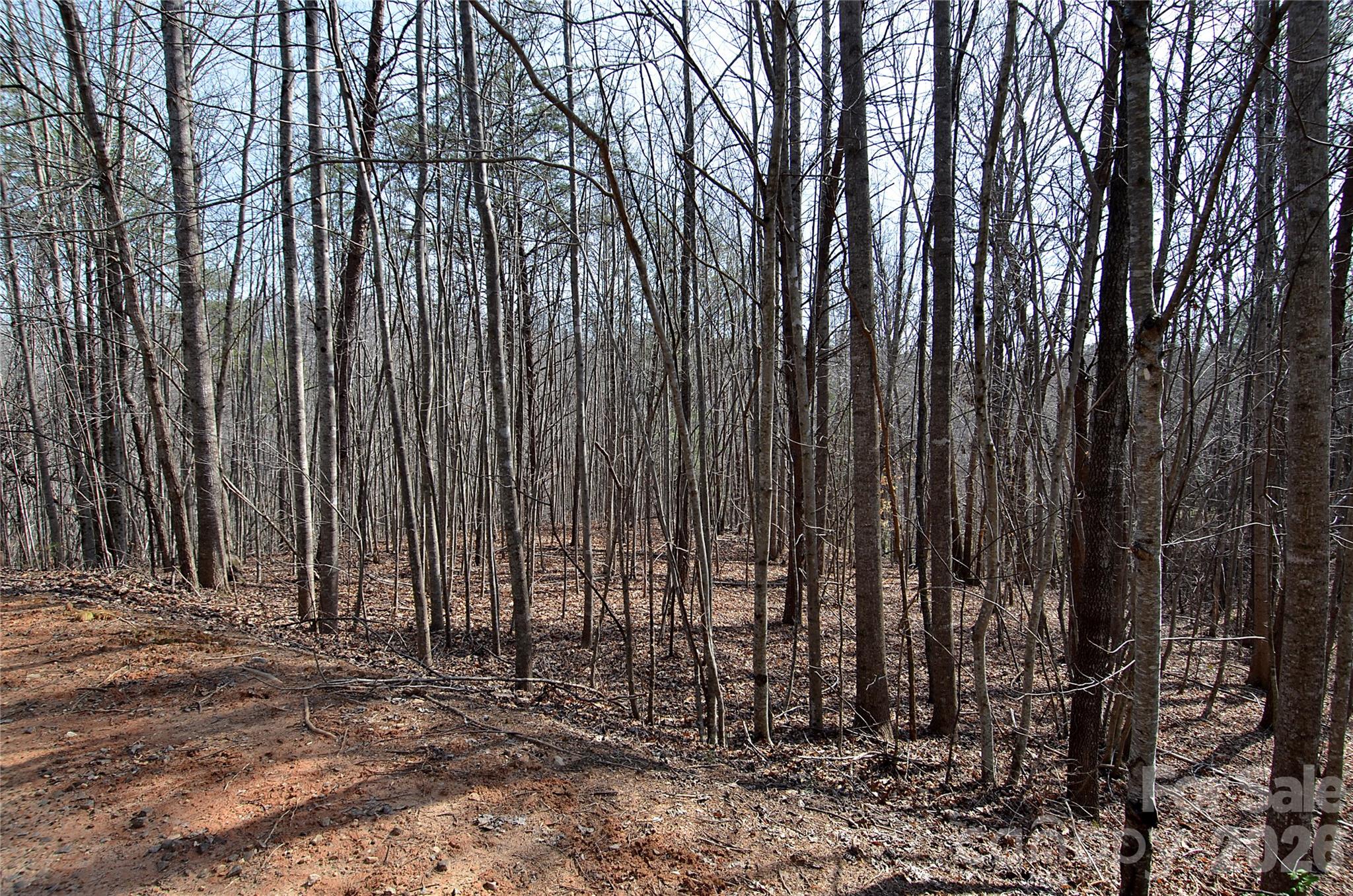 Lot at 00 Sundance Drive, Nebo, photo 2 of 15