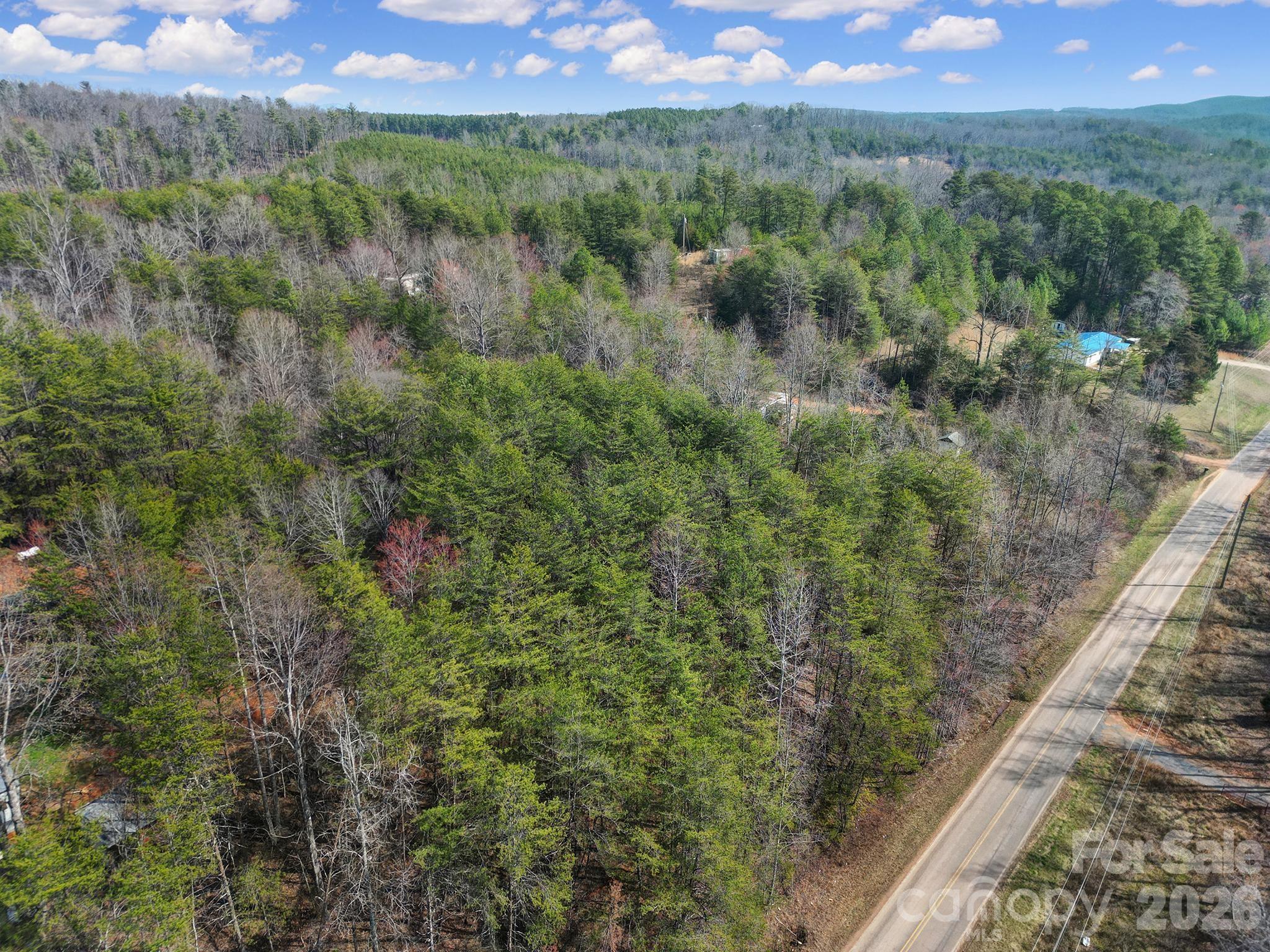 Lot at 236 Dirty Ankle Road, Lawndale, photo 3 of 12