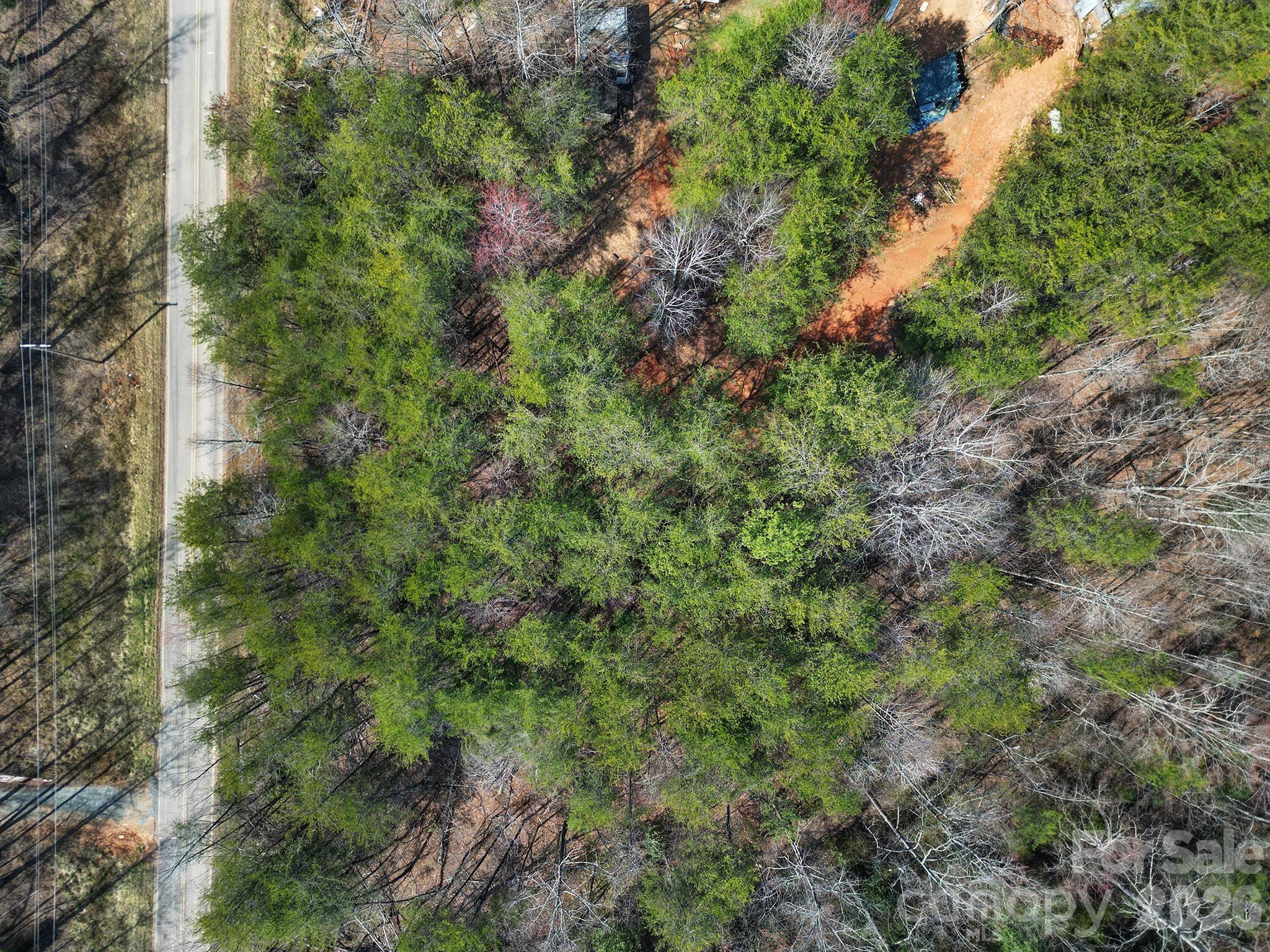 Lot at 236 Dirty Ankle Road, Lawndale, photo 6 of 12
