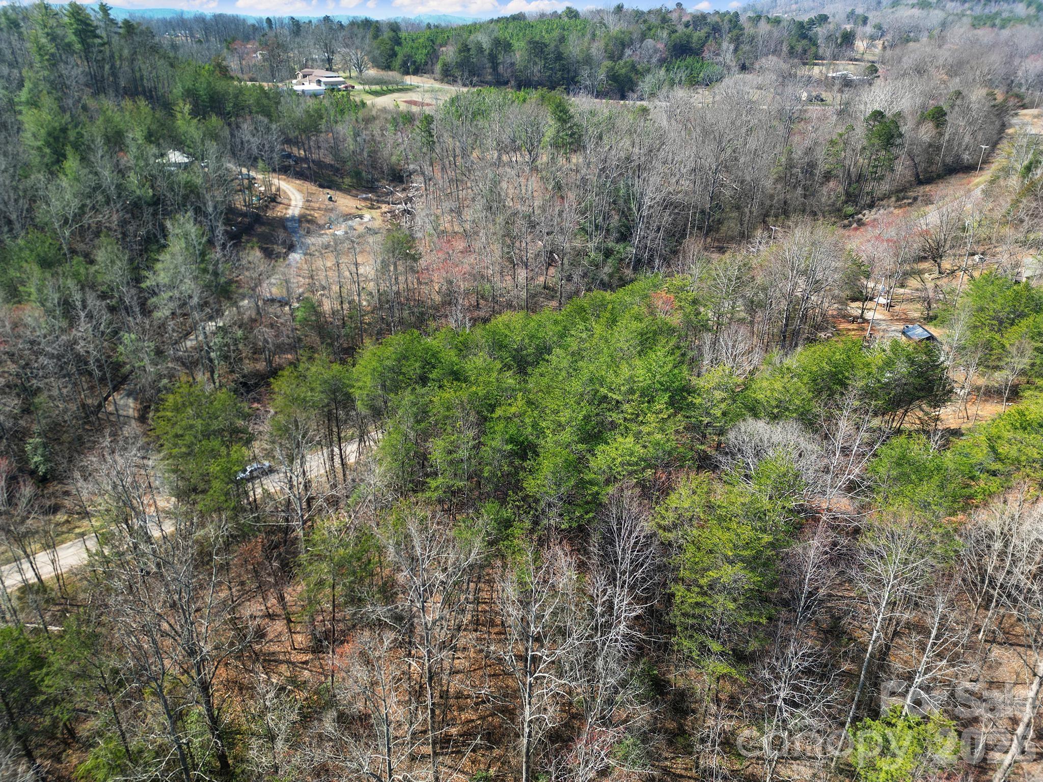 Lot at 236 Dirty Ankle Road, Lawndale, photo 8 of 12