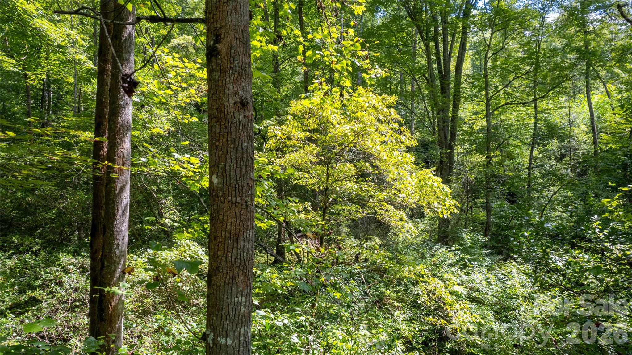 Acreage at TBD Collettsville Road, Collettsville, photo 7 of 34