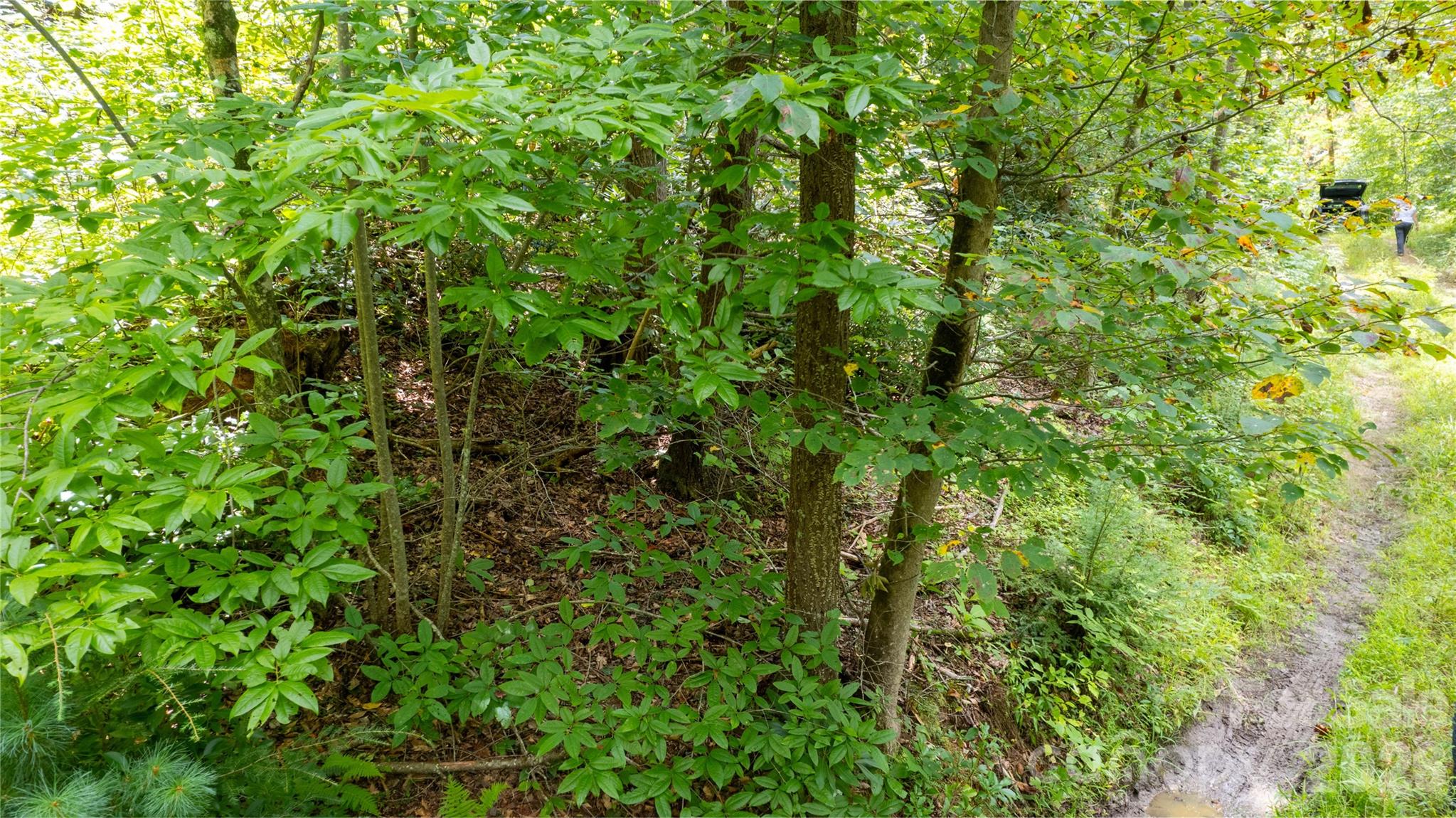 Acreage at TBD Collettsville Road, Collettsville, photo 5 of 29