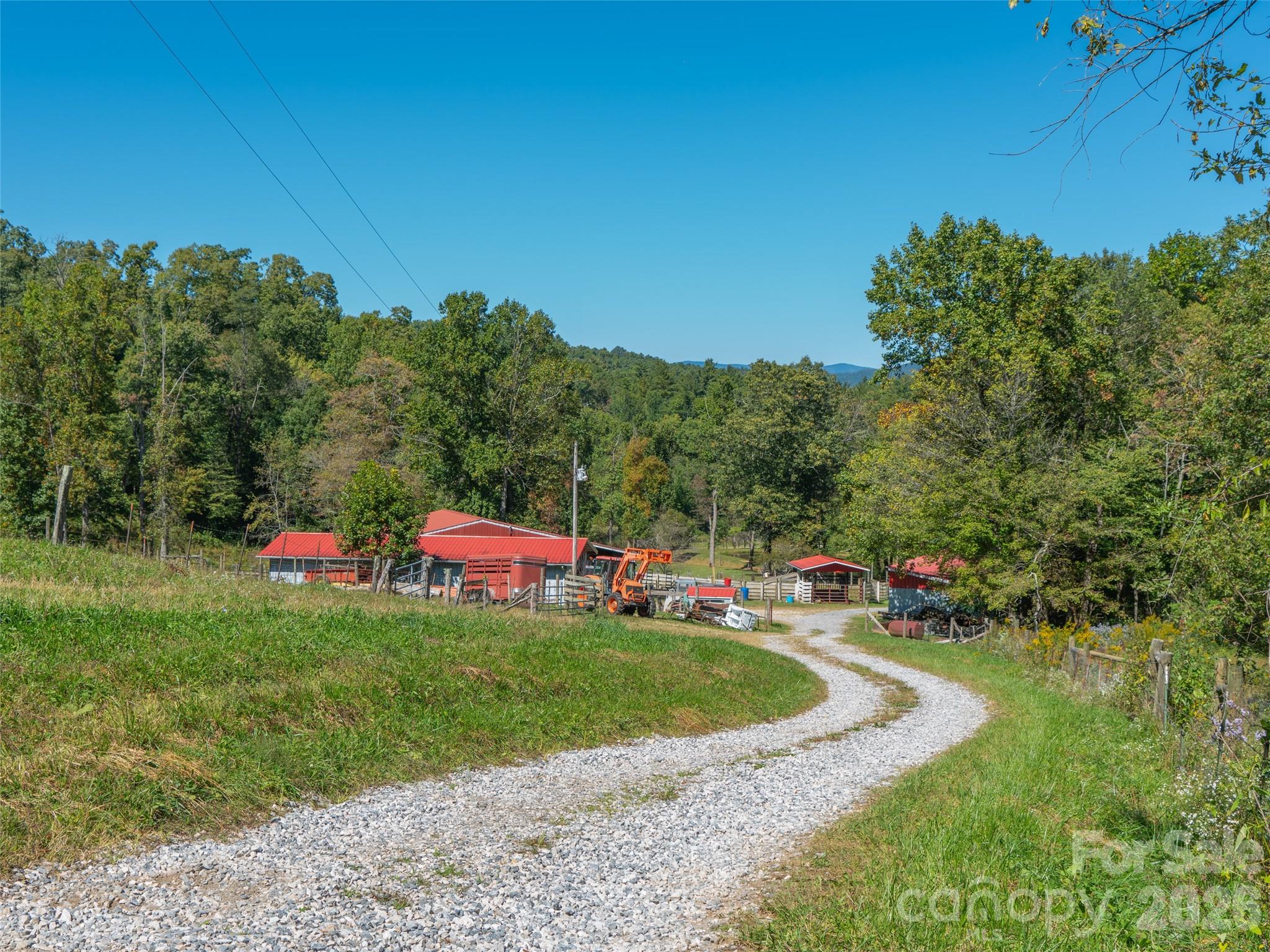 Acreage at 1050 Dale Road, Spruce Pine, photo 16 of 48