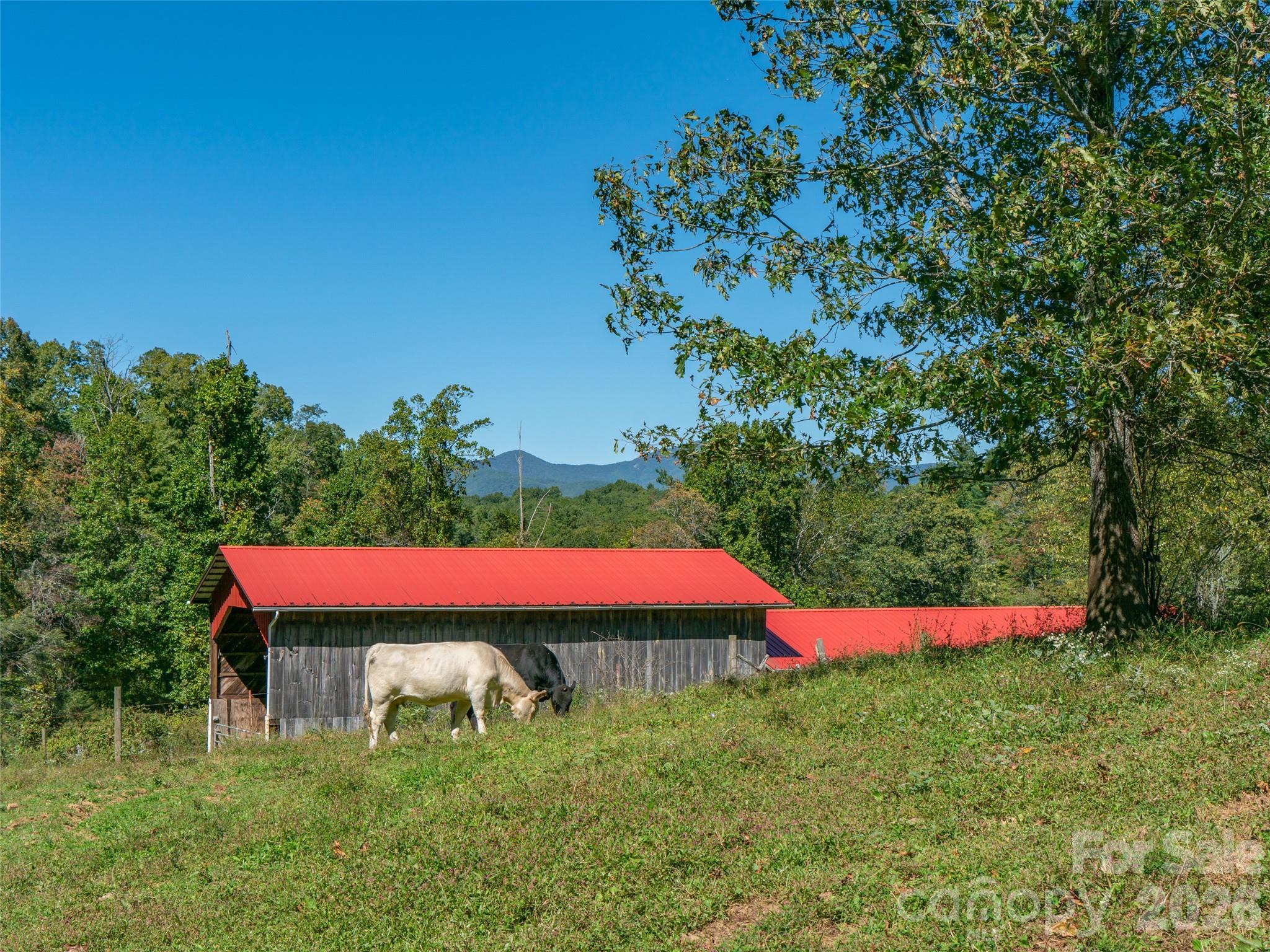 Acreage at 1050 Dale Road, Spruce Pine, photo 17 of 48