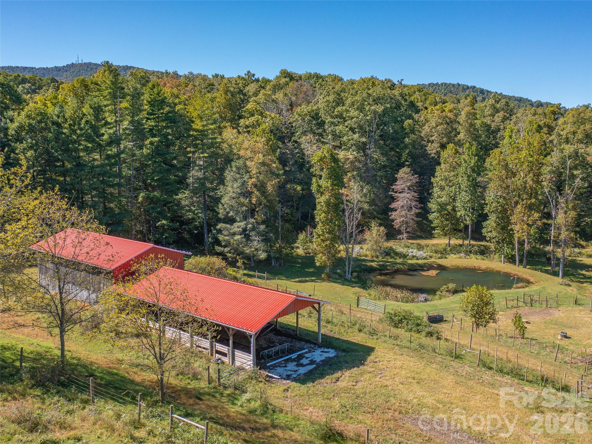 Acreage at 1050 Dale Road, Spruce Pine, photo 20 of 48