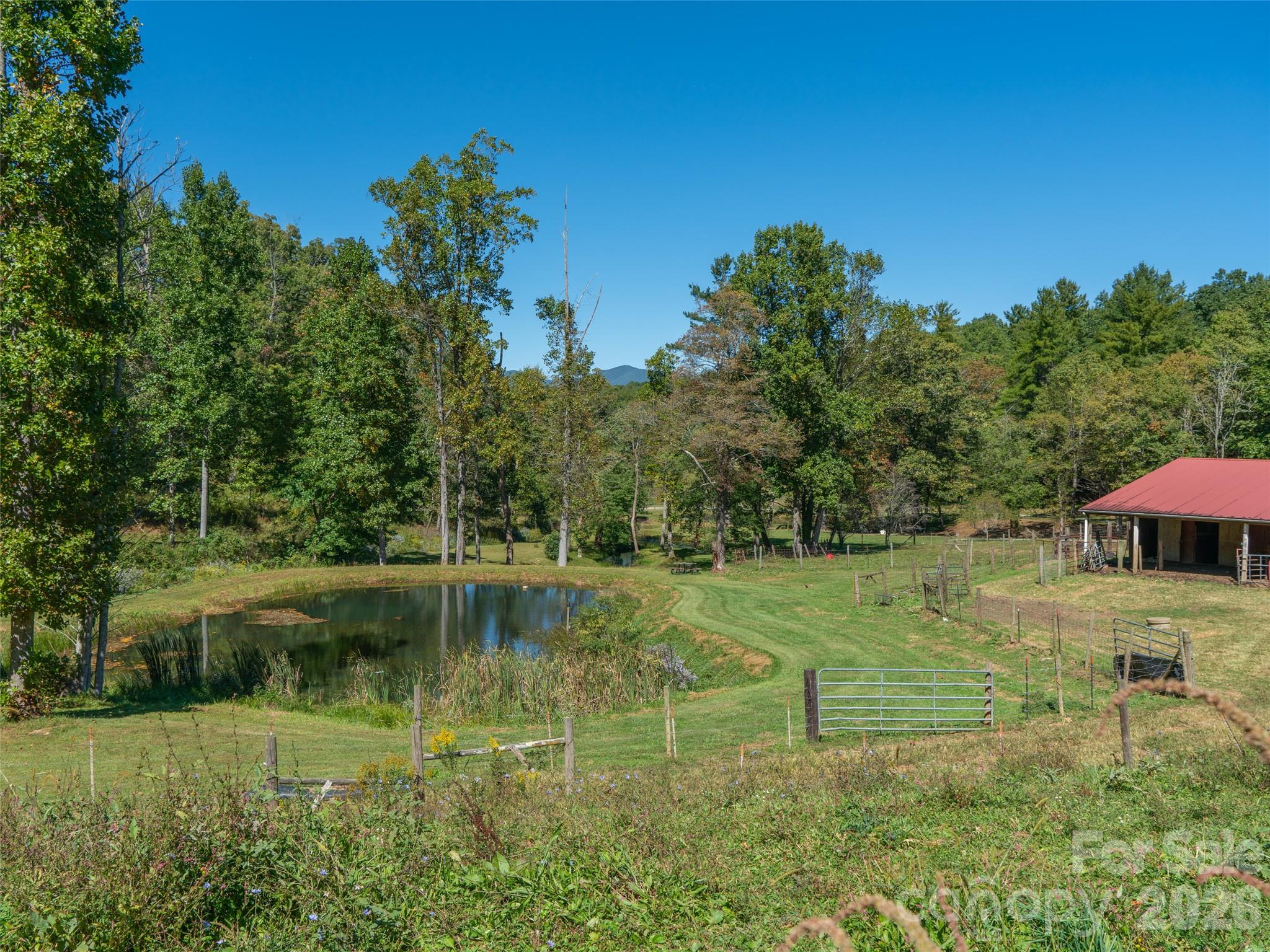 Acreage at 1050 Dale Road, Spruce Pine, photo 26 of 48