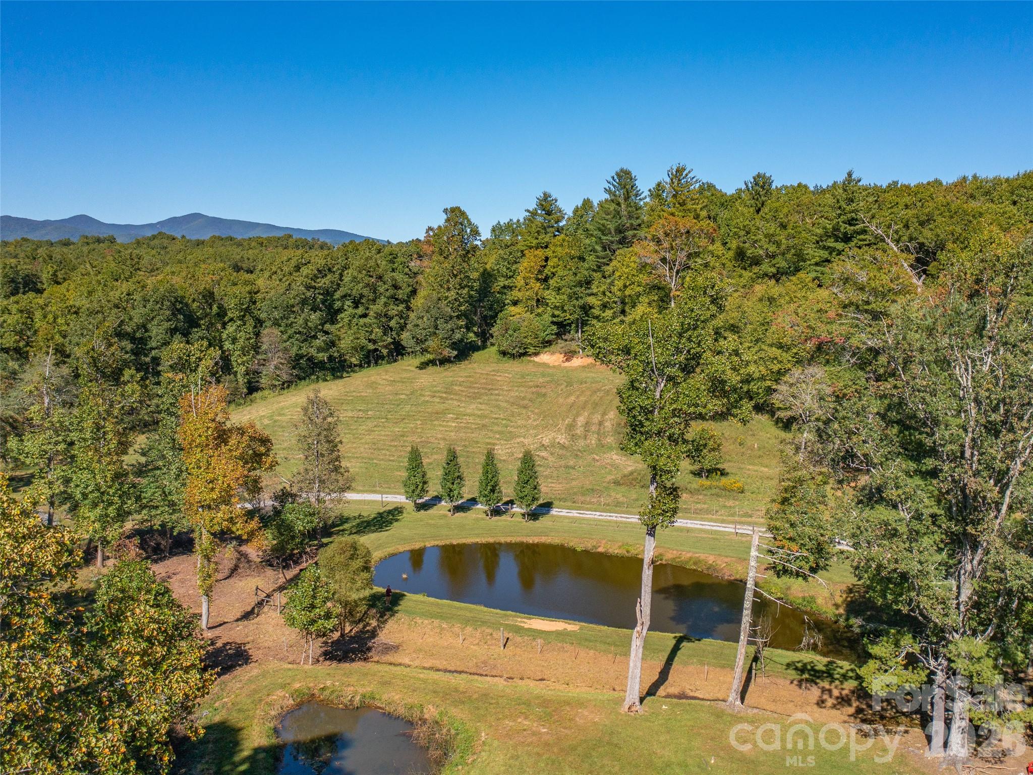 Acreage at 1050 Dale Road, Spruce Pine, photo 43 of 48