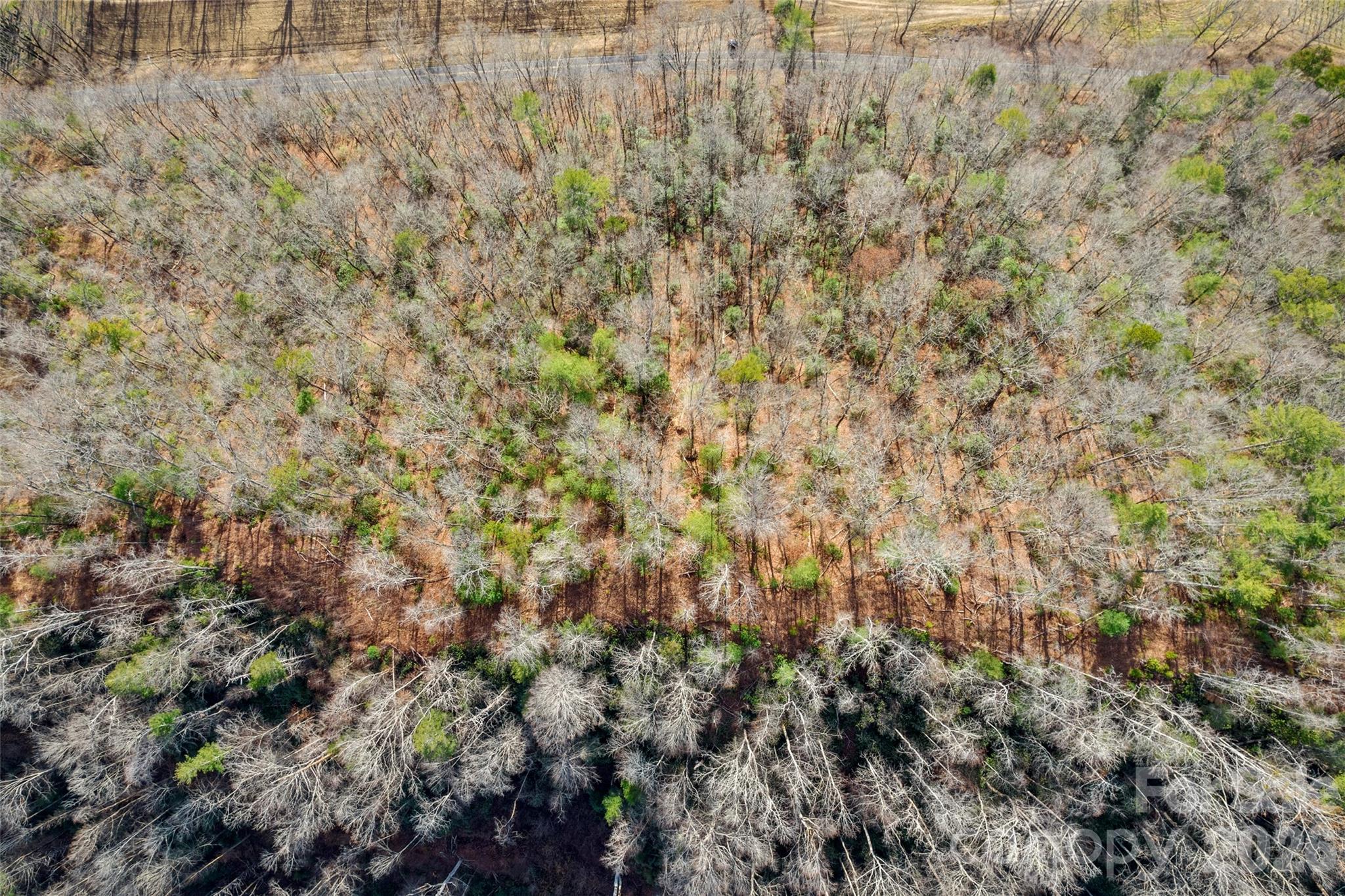 Acreage at TBD Collettsville Road, Collettsville, photo 12 of 22