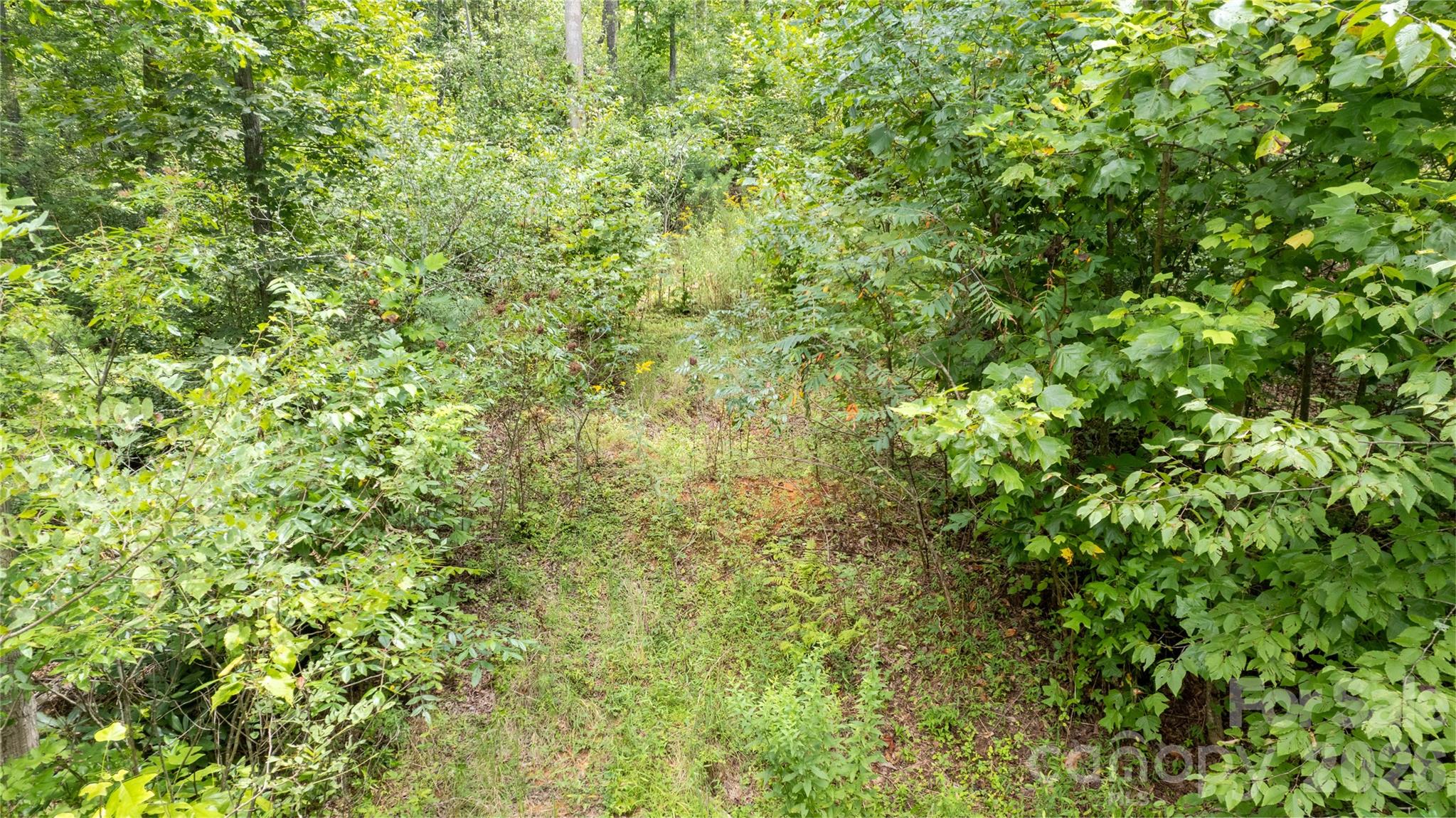Acreage at TBD Collettsville Road, Collettsville, photo 5 of 33