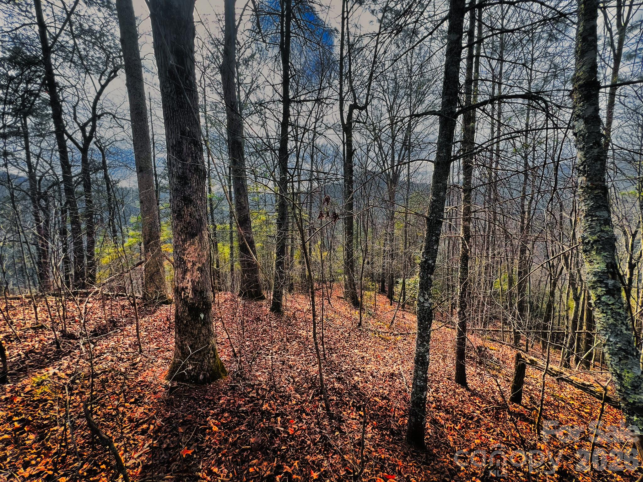 232 Thorncliff Road