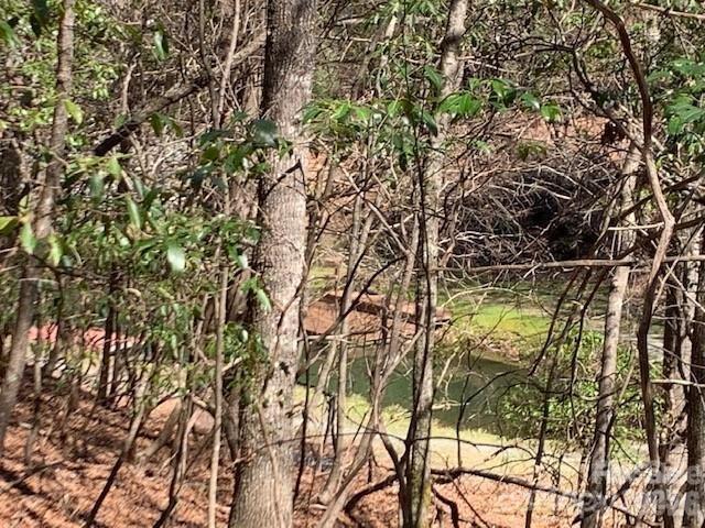 Lot at U6/L45 Ottaray Court, Brevard, photo 4 of 5