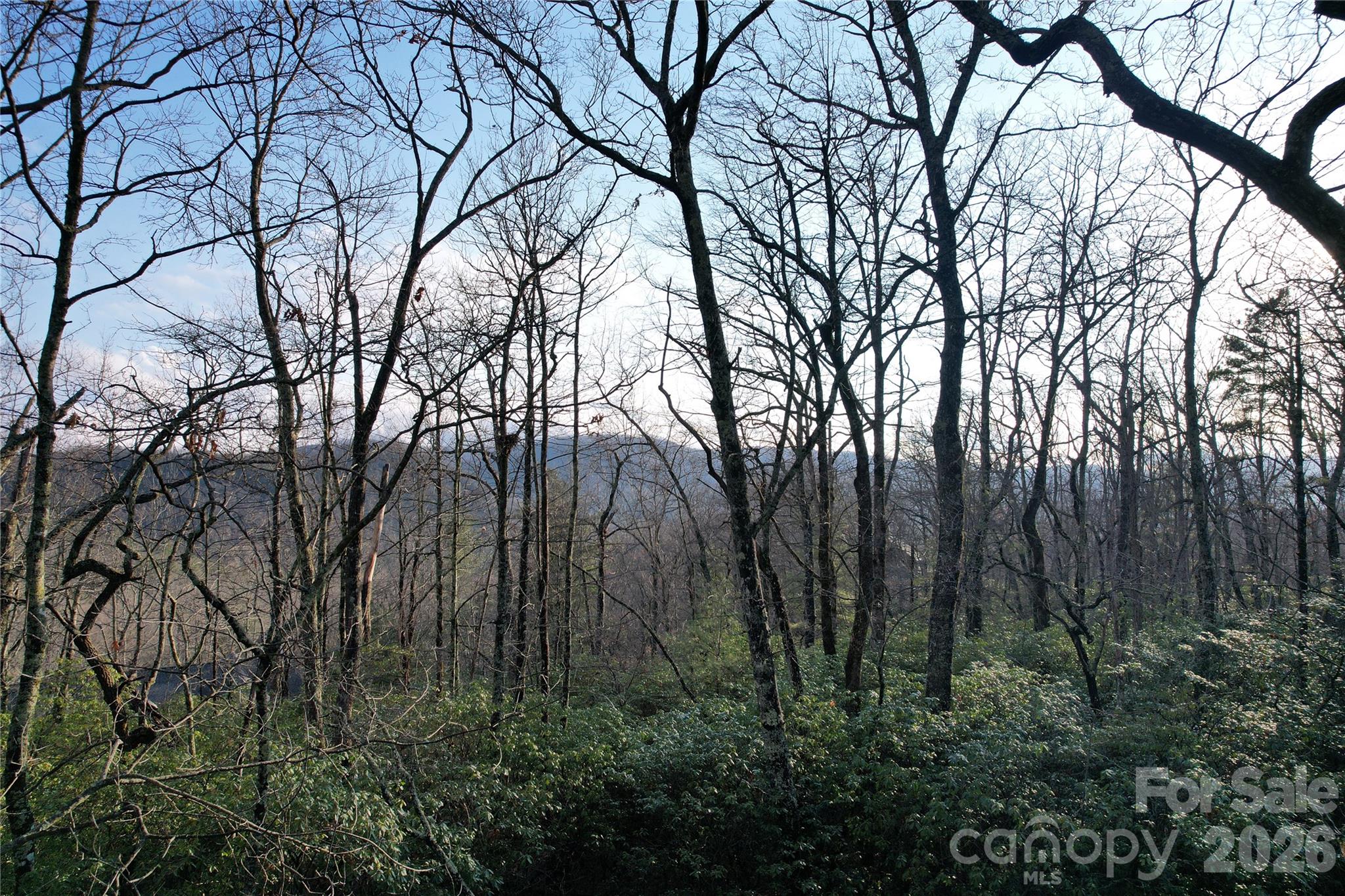 Lot at TBD Laurel Thicket Lane, Brevard, photo 9 of 19