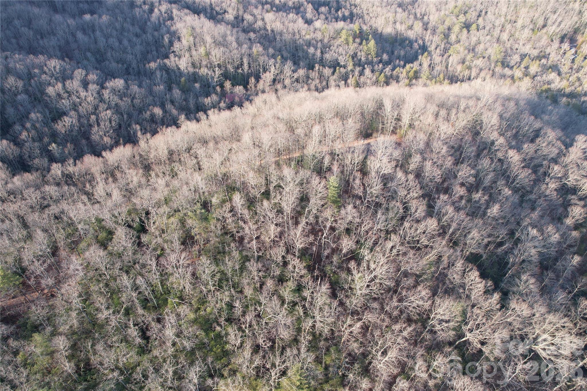 Lot at TBD Laurel Thicket Lane, Brevard, photo 18 of 19