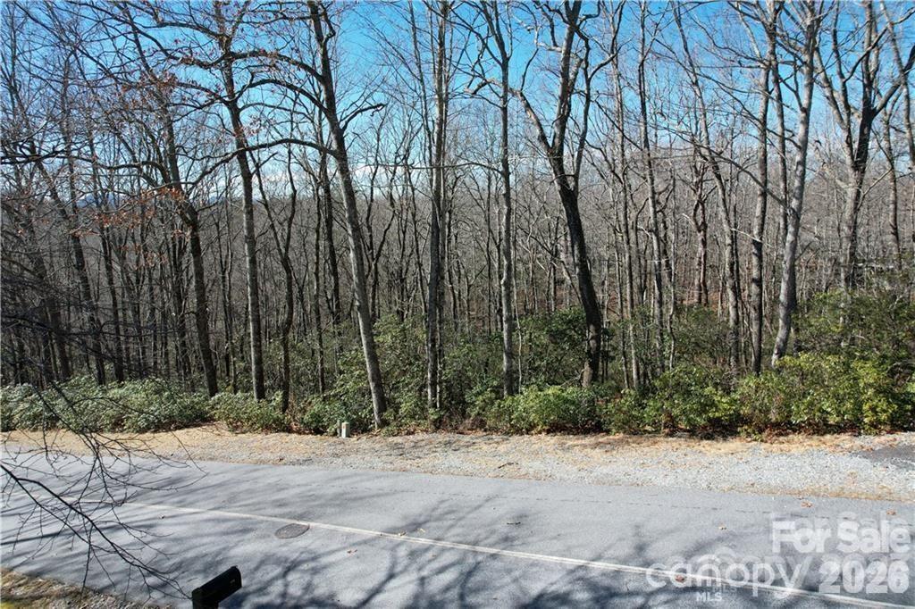 Lot at U19 L053 Gawanv Court, Brevard, photo 4 of 16