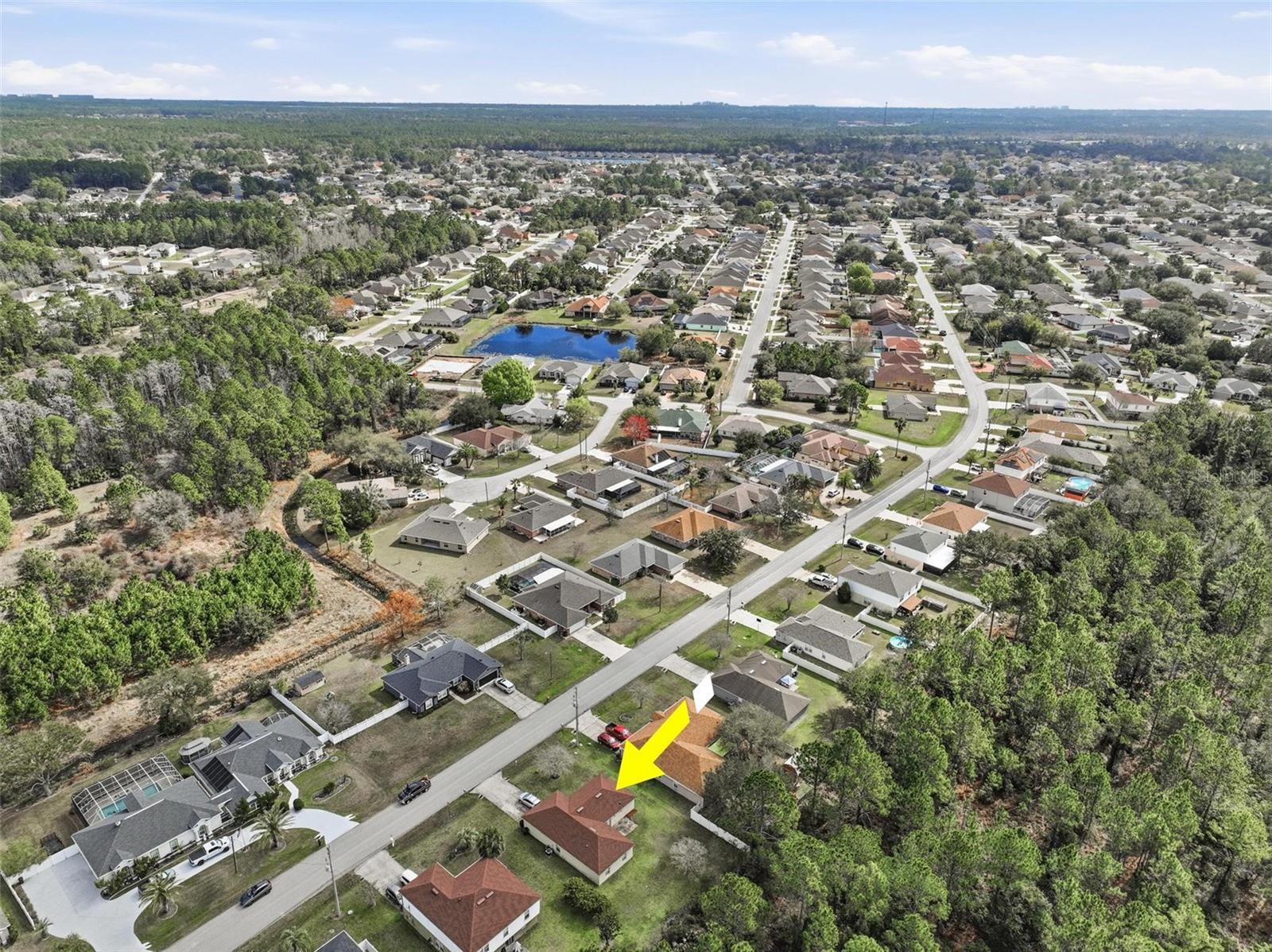 Drone - 69 LONDON DR, PALM COAST