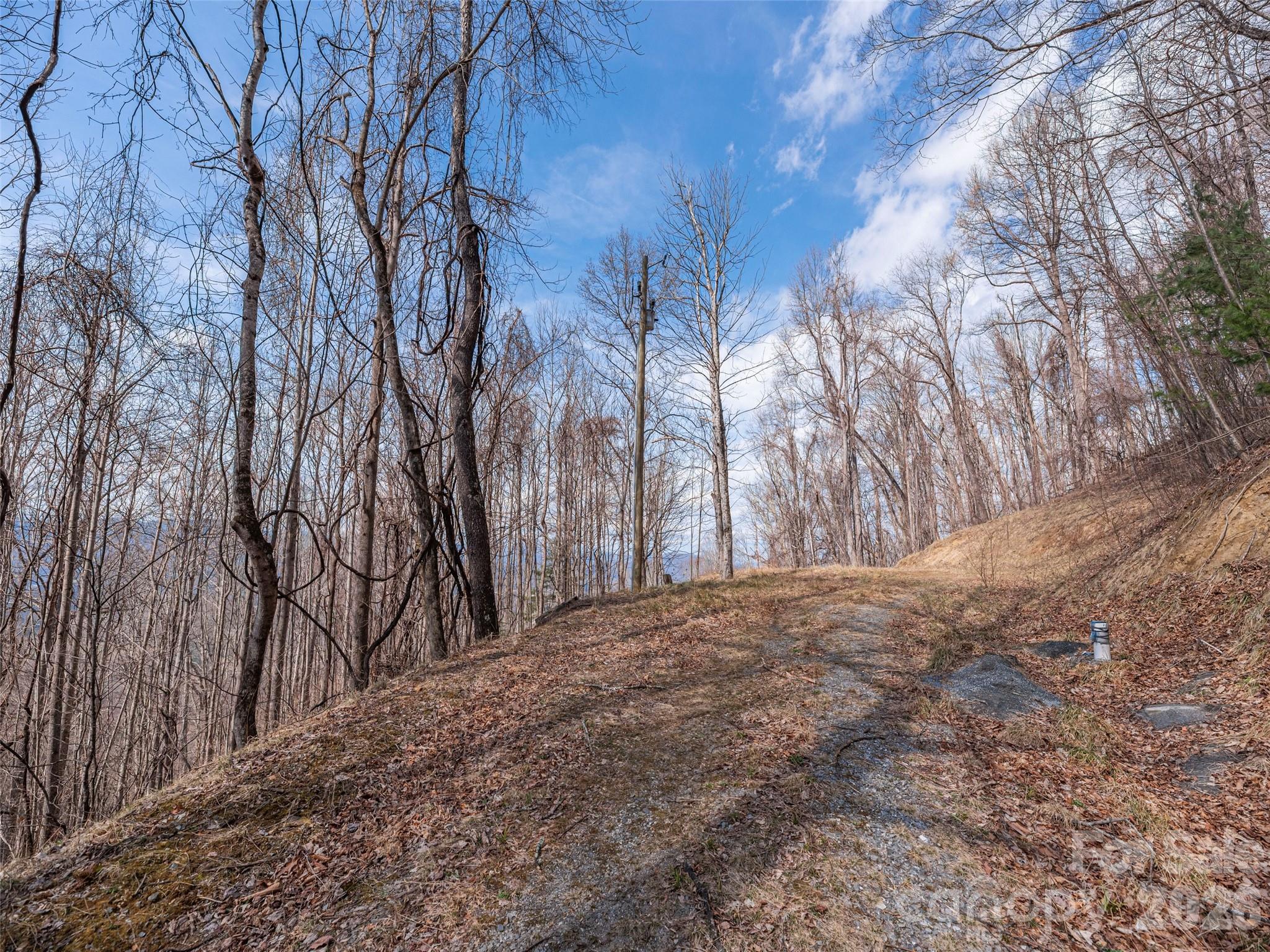 Acreage at 399 Goodson Spring Road, Waynesville, photo 15 of 29