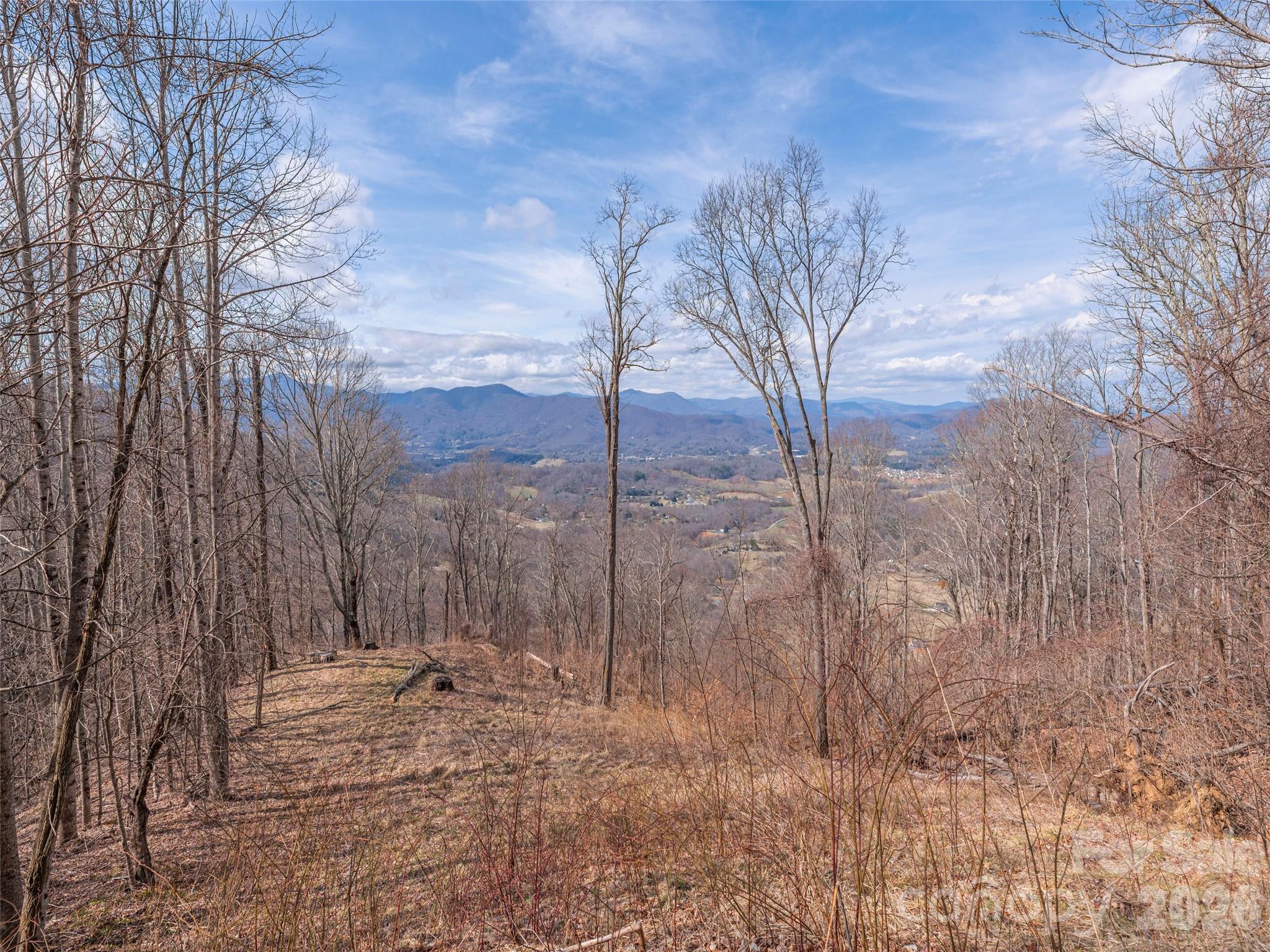 Acreage at 399 Goodson Spring Road, Waynesville, photo 13 of 29