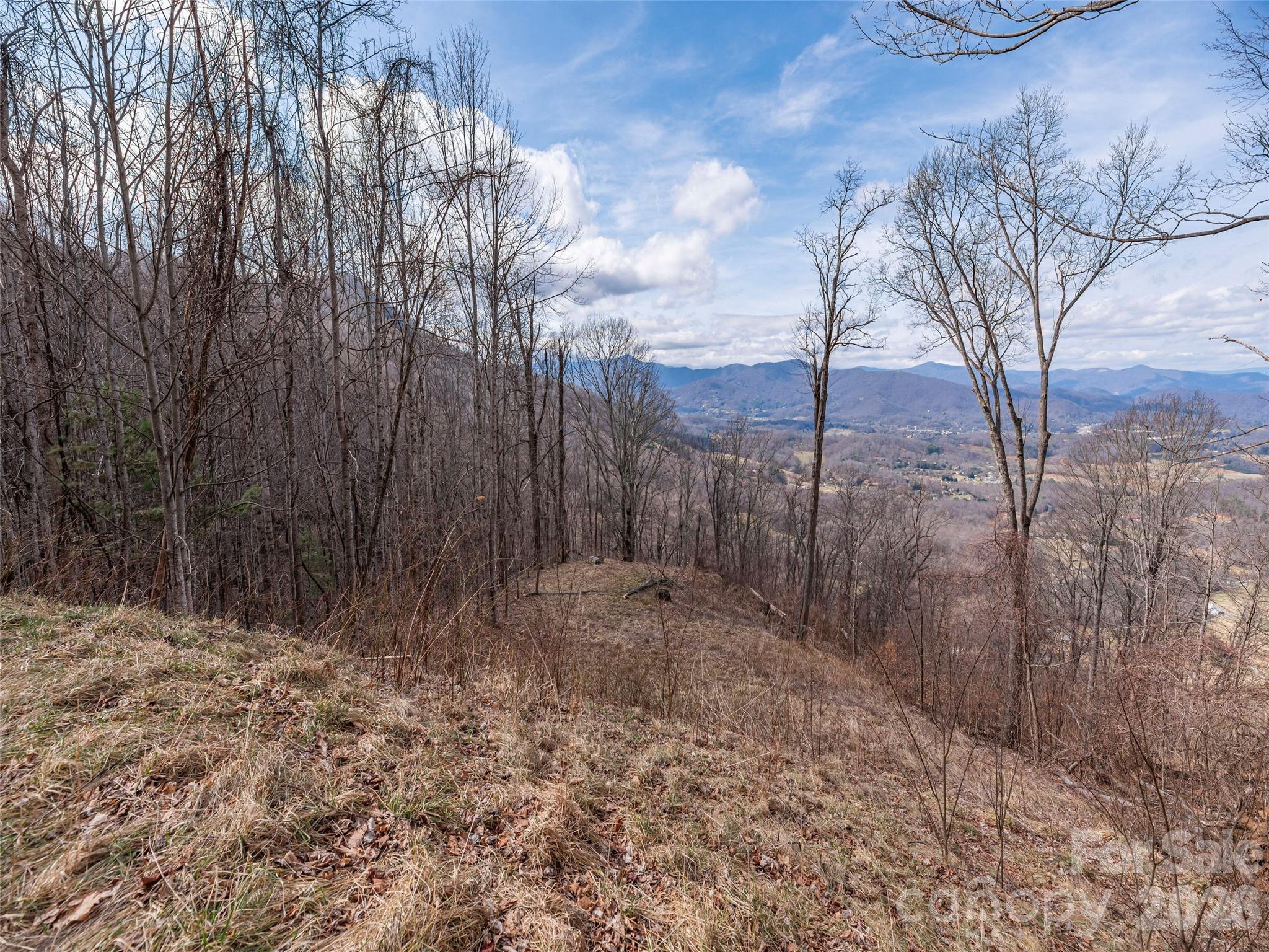 Acreage at 399 Goodson Spring Road, Waynesville, photo 16 of 29