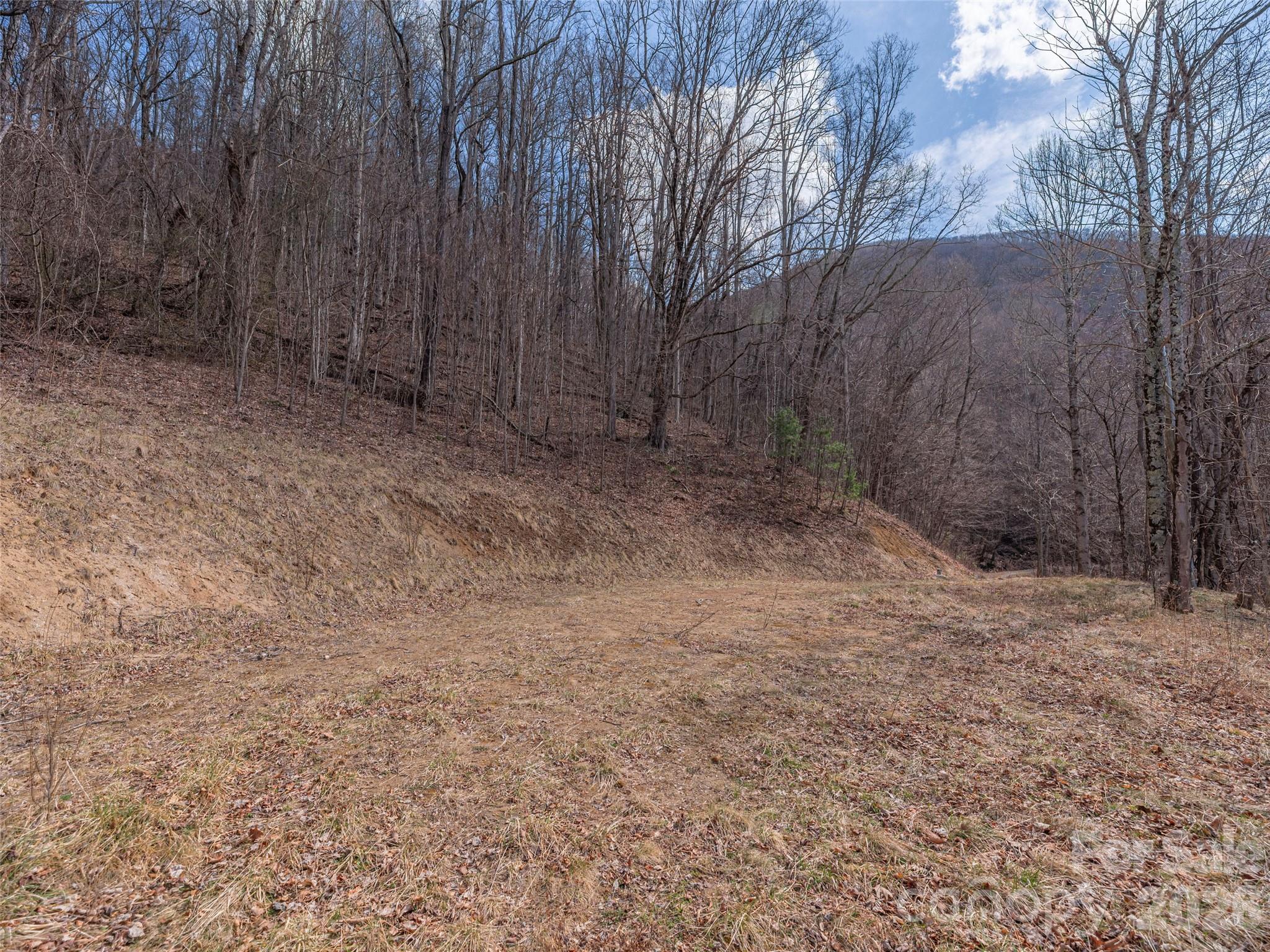 Acreage at 399 Goodson Spring Road, Waynesville, photo 17 of 29