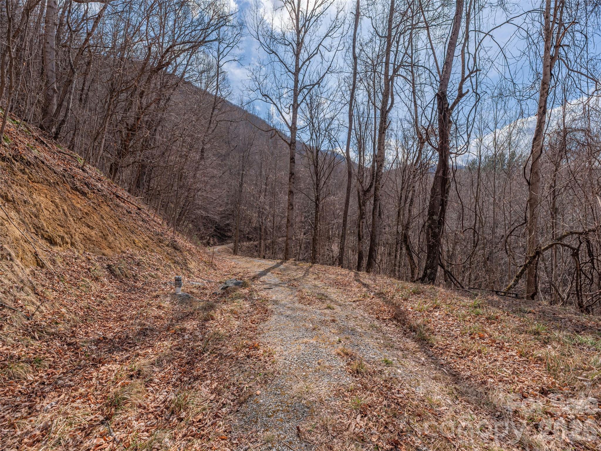 Acreage at 399 Goodson Spring Road, Waynesville, photo 18 of 29
