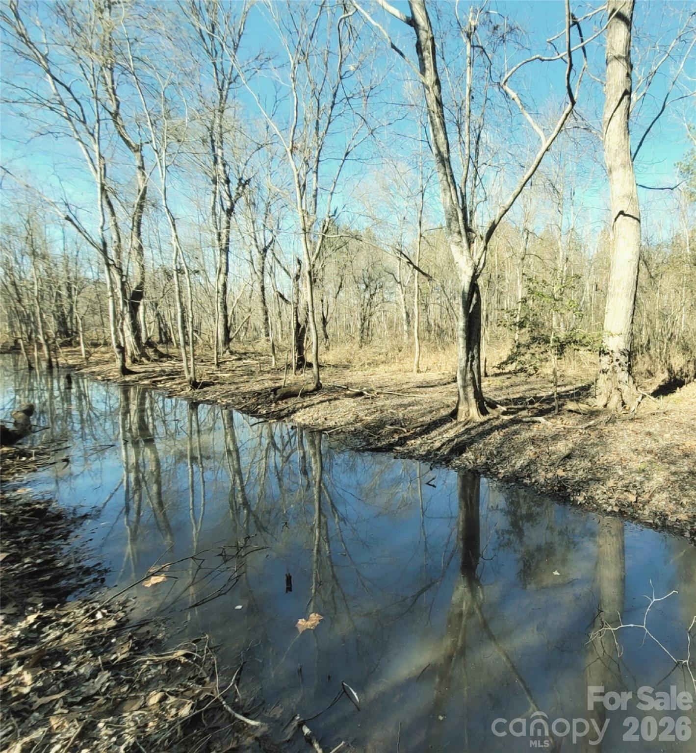 Beautiful easy laying lot... have water sources for your furry friends and to splash around it with a 4 wheeler! LOL JK - 0 Farmer Johns Trail, Rutherfordton