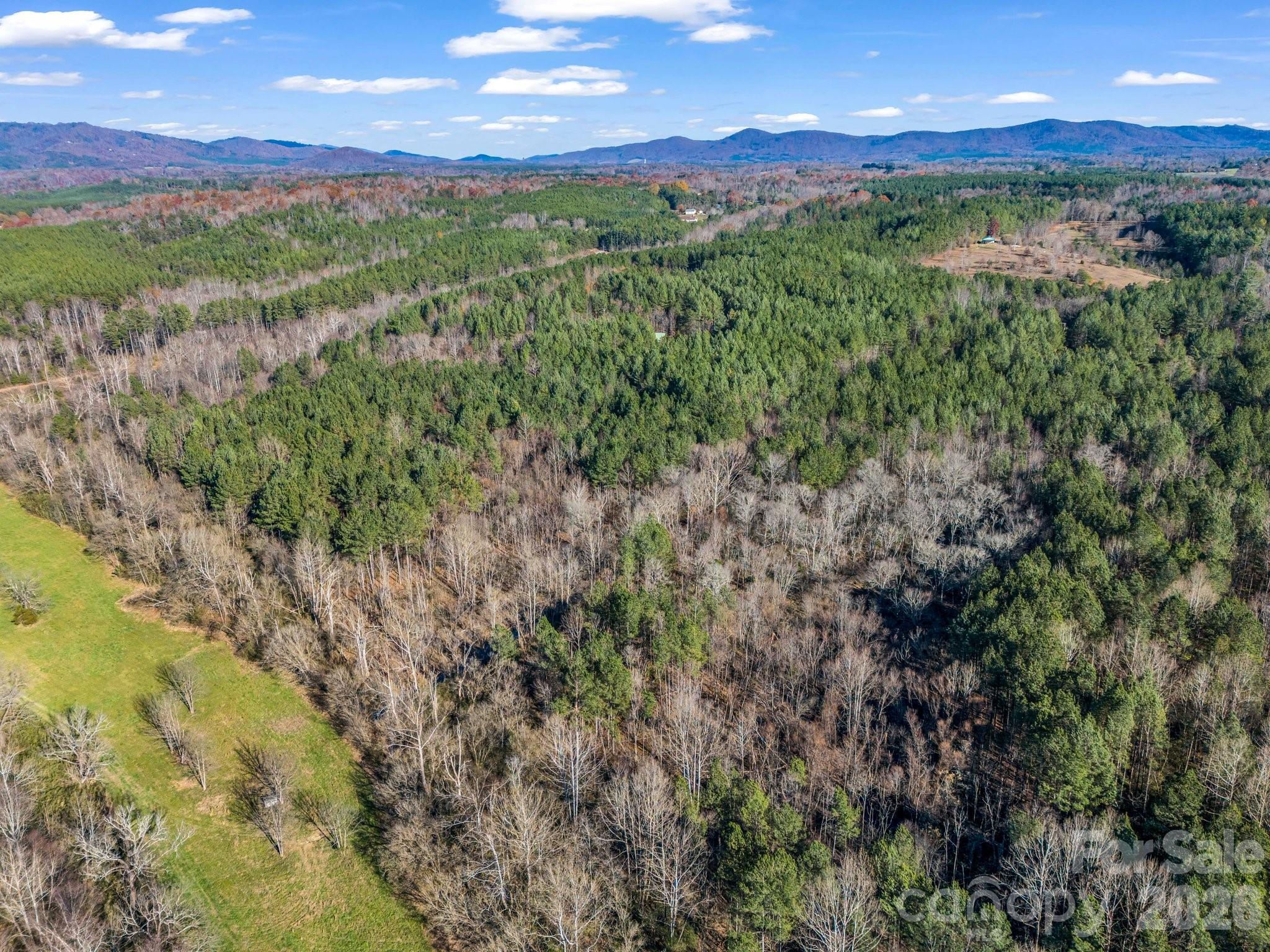Lot at 0 Farmer Johns Trail, Rutherfordton, photo 5 of 28