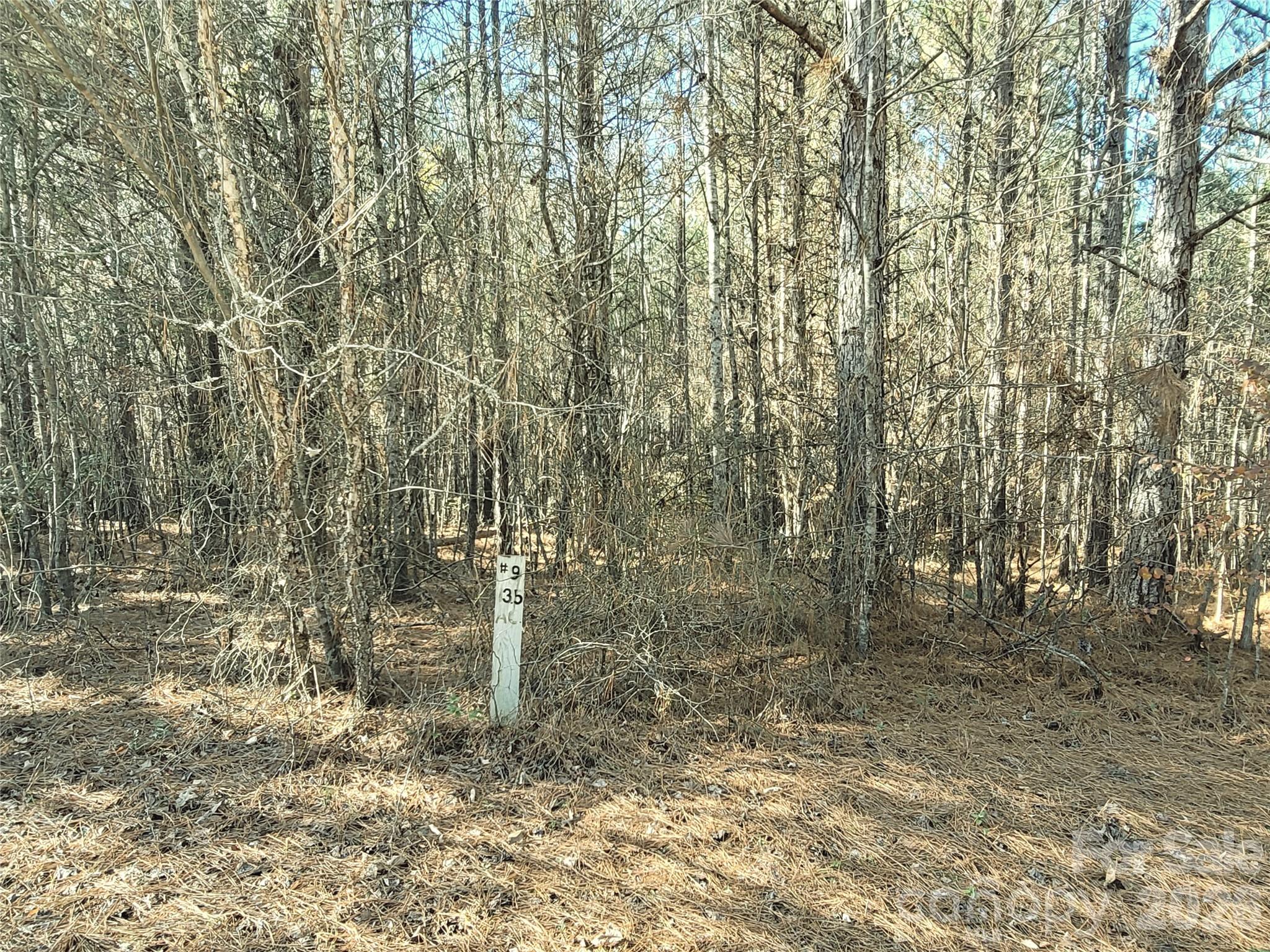 Lot at 0 Farmer Johns Trail, Rutherfordton, photo 24 of 28