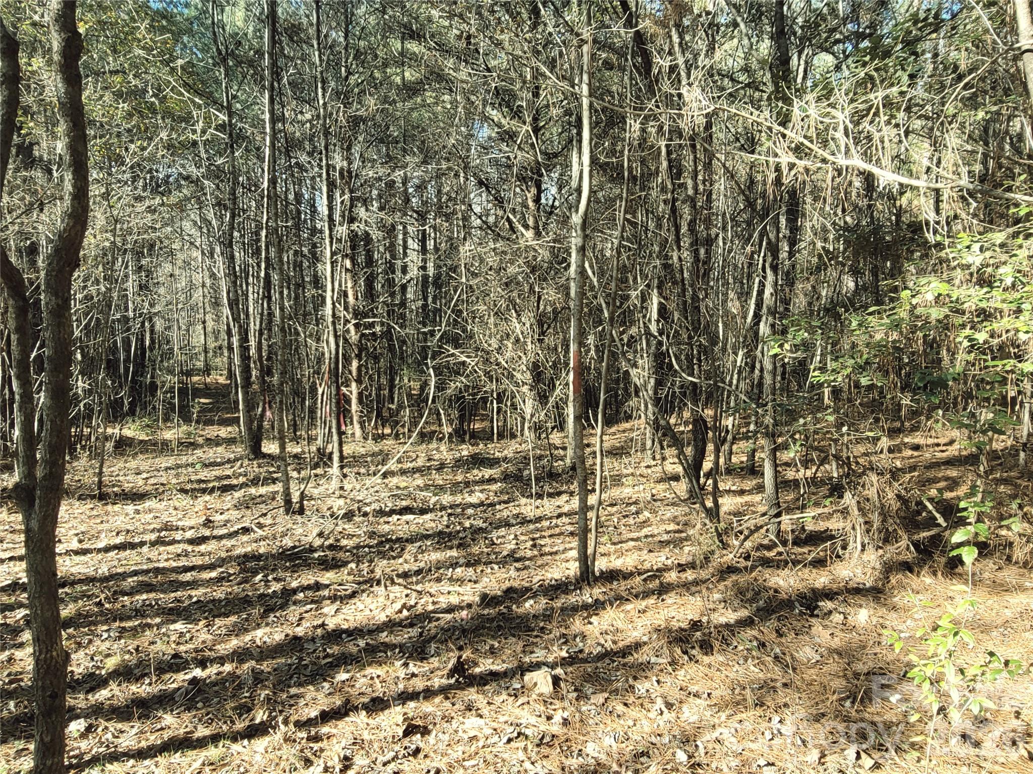 Lot at 0 Farmer Johns Trail, Rutherfordton, photo 26 of 28