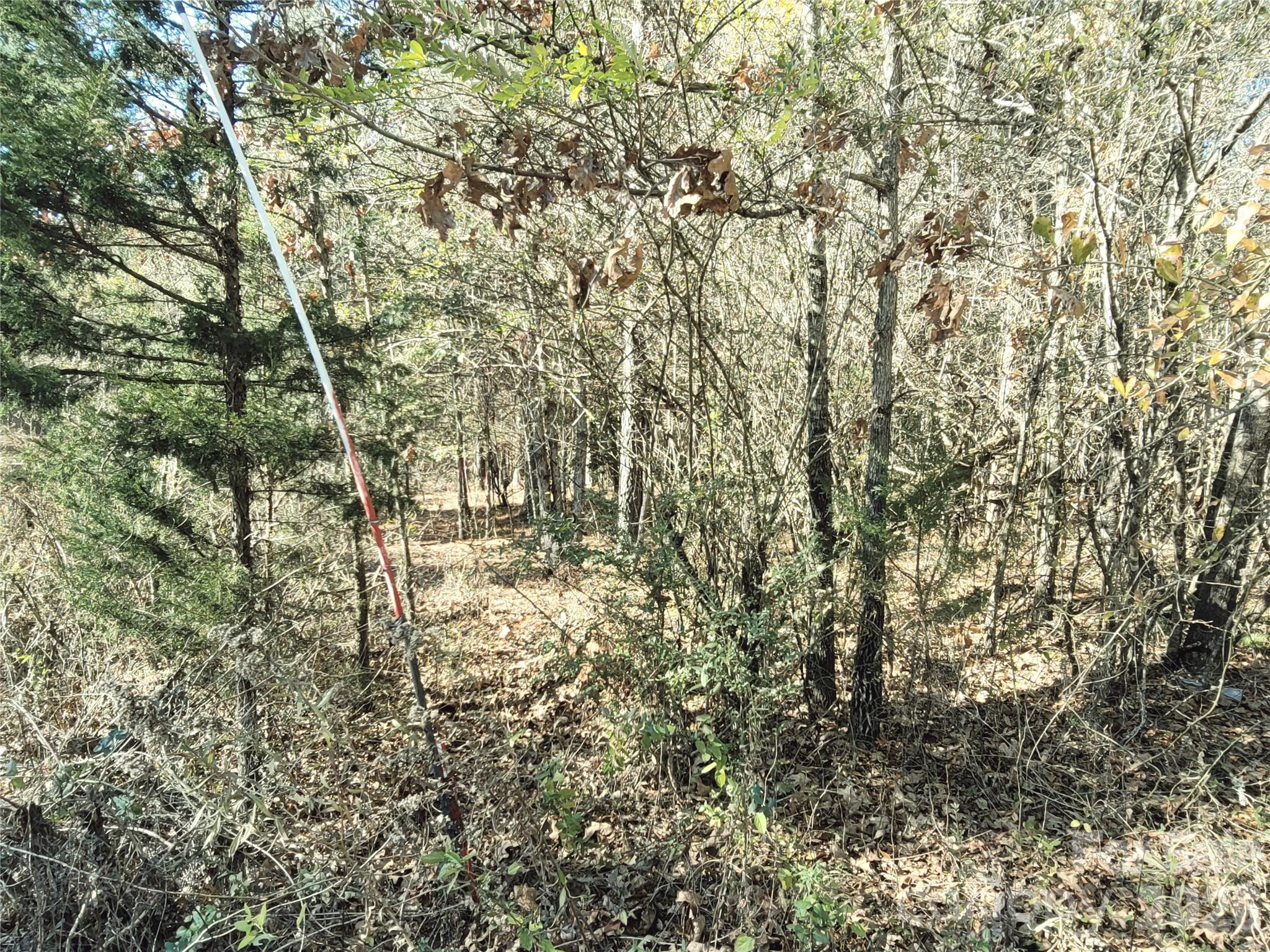 Lot at 0 Farmer Johns Trail, Rutherfordton, photo 25 of 28