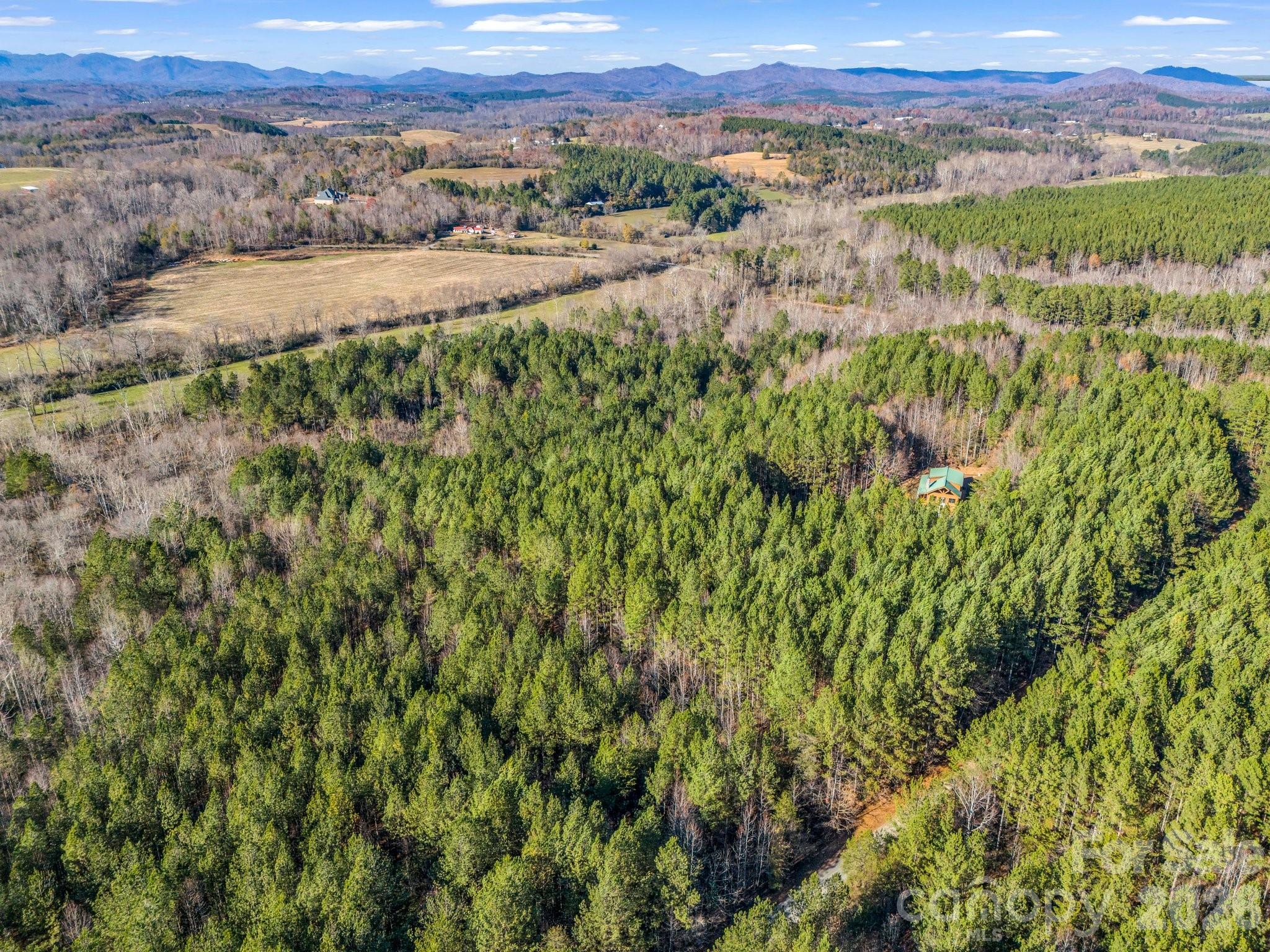 Lot at 0 Farmer Johns Trail, Rutherfordton, photo 9 of 28