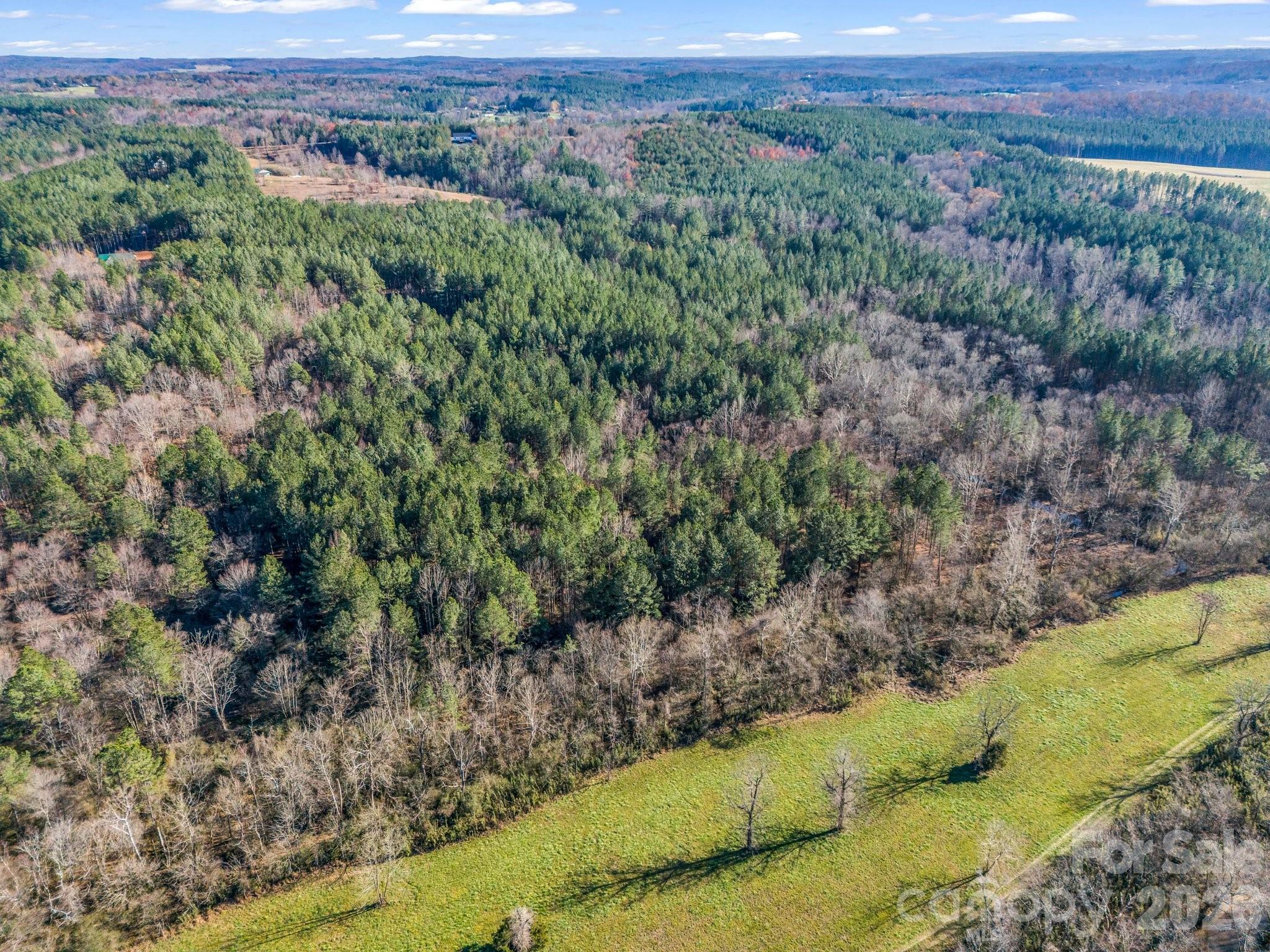 back side of neighboring property is cleared fields, keep the trees as buffer or open up for amazing sunsets, potentially!!!! - 0 Farmer Johns Trail, Rutherfordton
