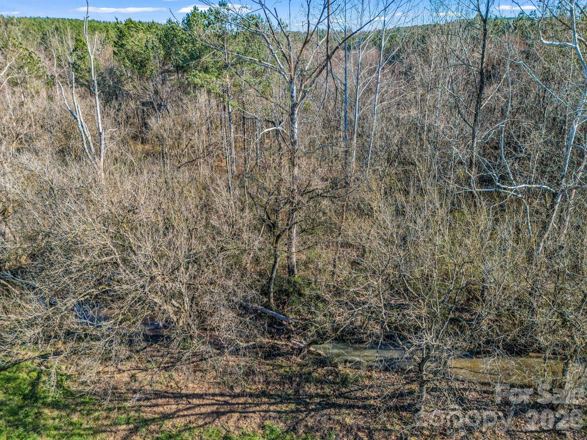 Lot at 0 Farmer Johns Trail, Rutherfordton, photo 27 of 28