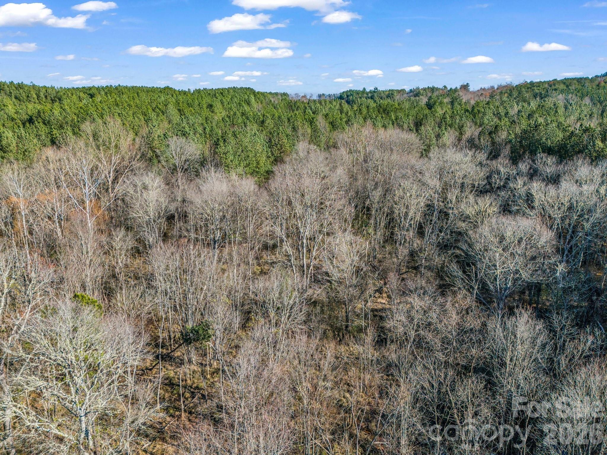 Lot at 0 Farmer Johns Trail, Rutherfordton, photo 13 of 28