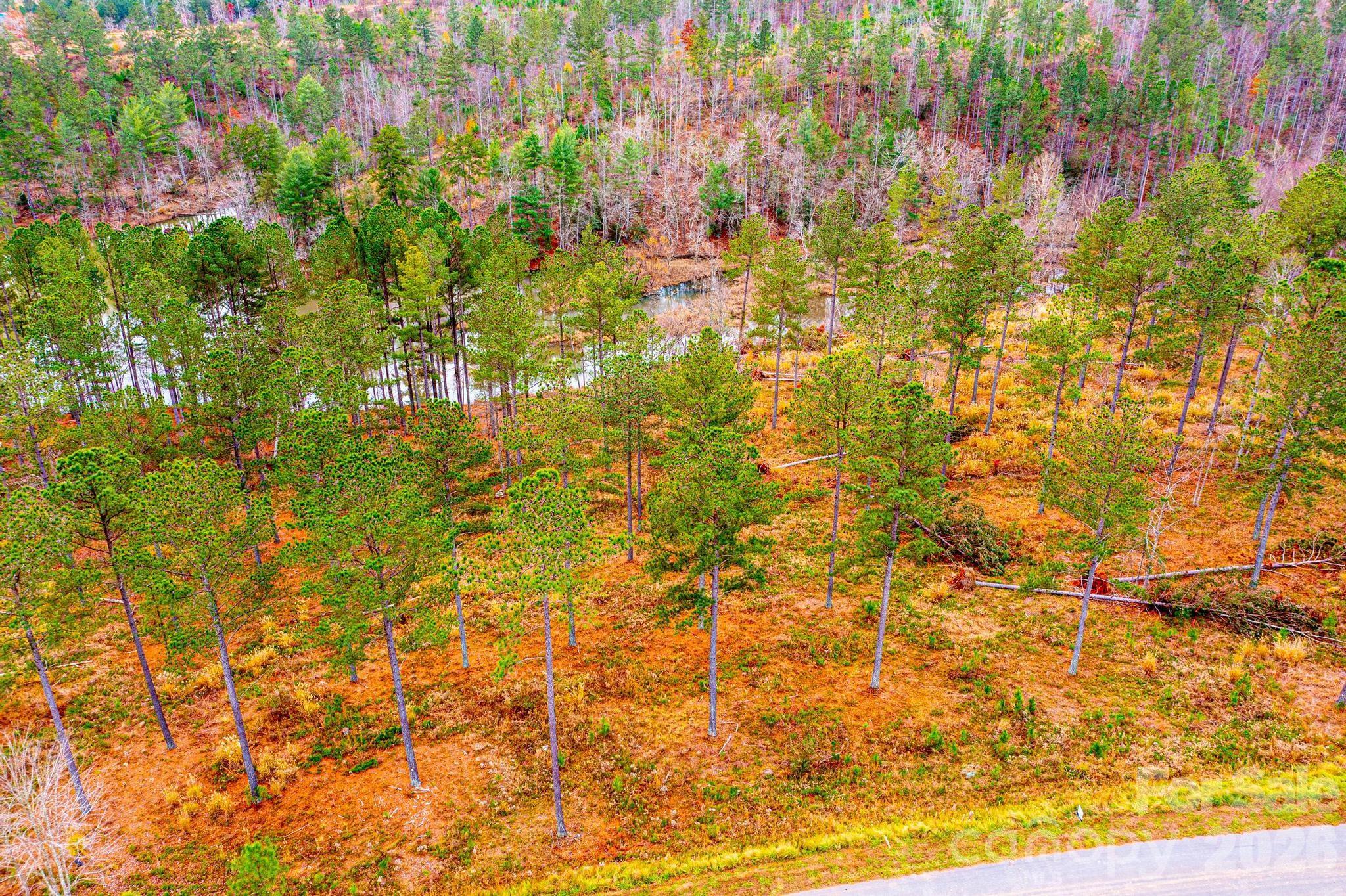 Lot at 2188 Snowmass Drive, Connelly Springs, photo 4 of 17