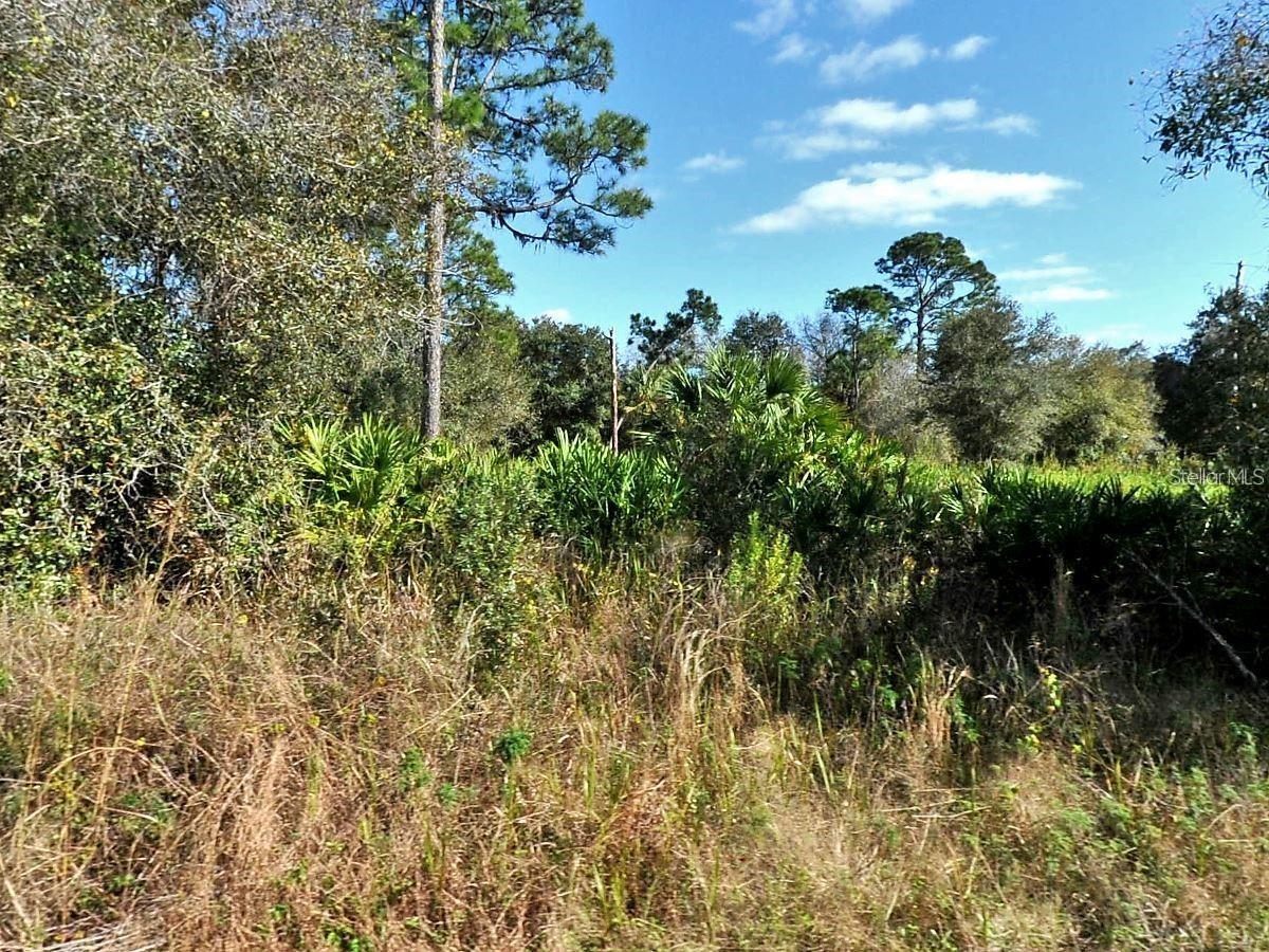 Land at LONGFELLOW LN, NORTH PORT, photo 5 of 8