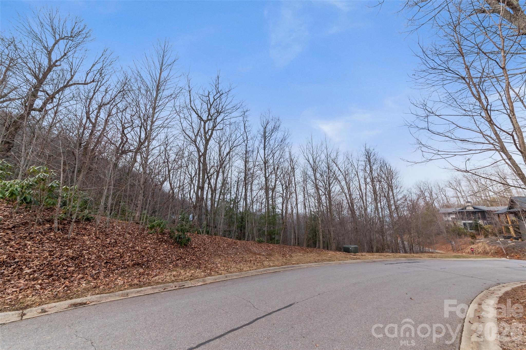 Lot at 5 Crockett Ridge Road, Black Mountain, photo 6 of 20