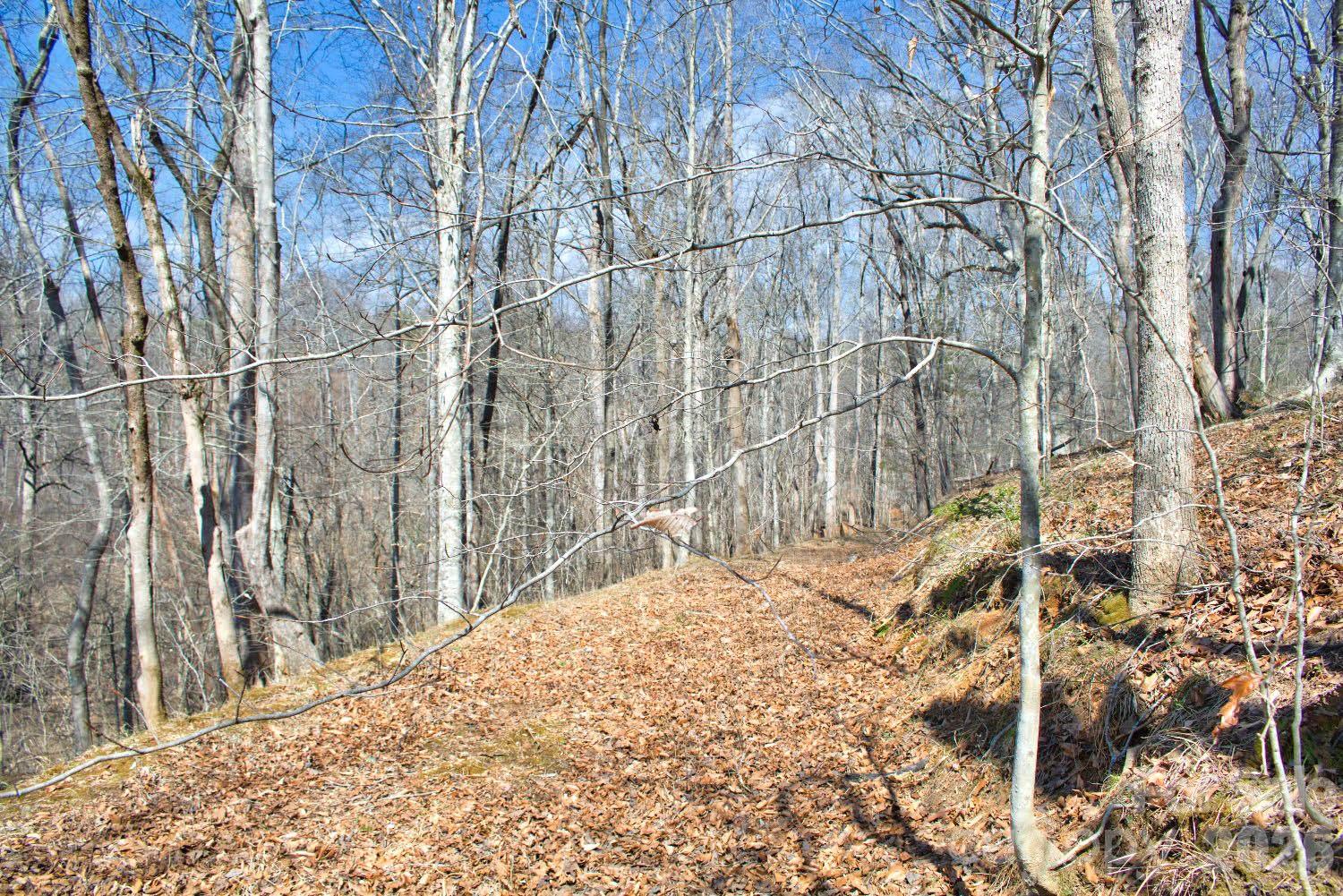 Lot at 0 Cross Creek Drive, Rutherfordton, photo 2 of 5