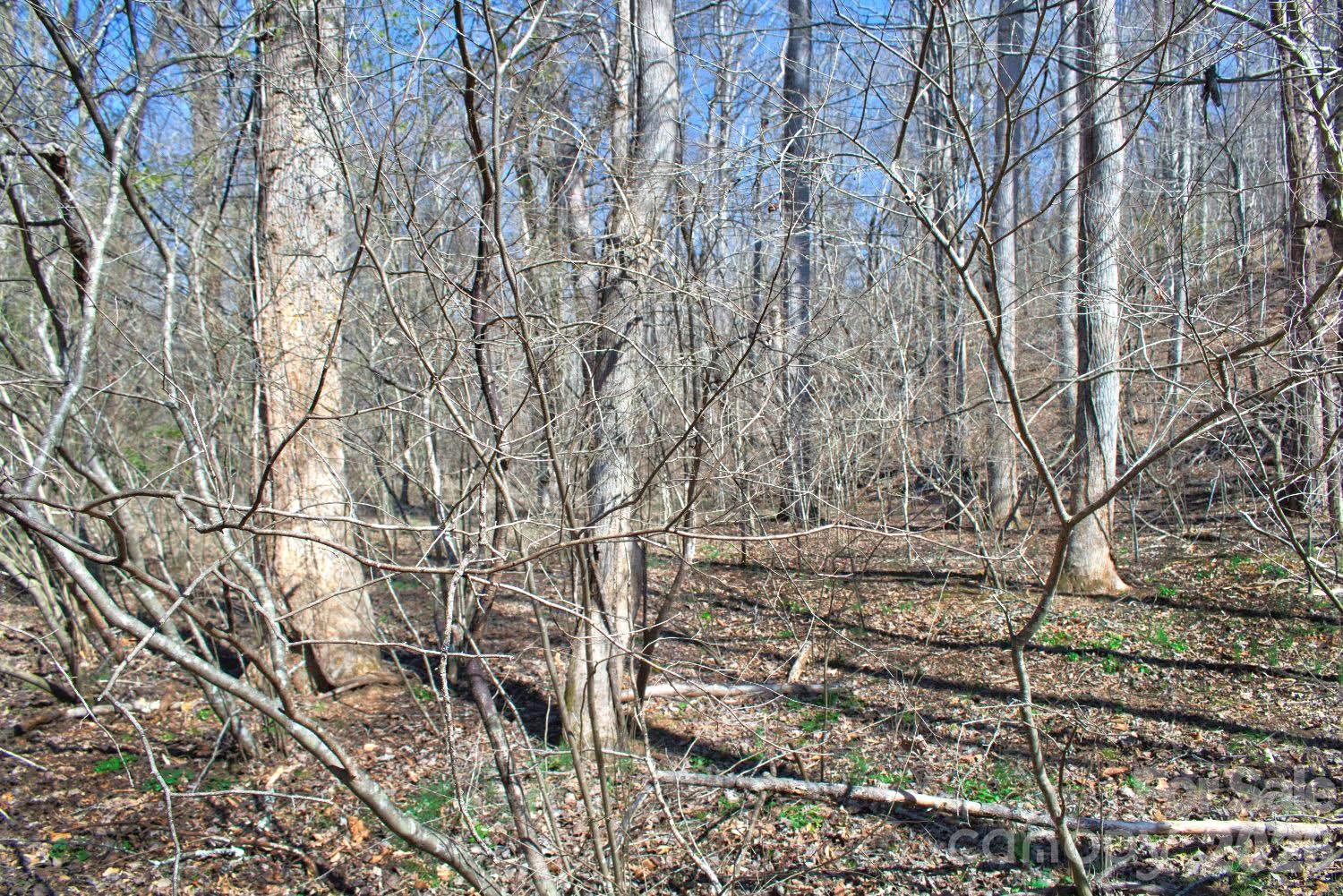 Lot at 0 Cross Creek Drive, Rutherfordton, photo 3 of 5