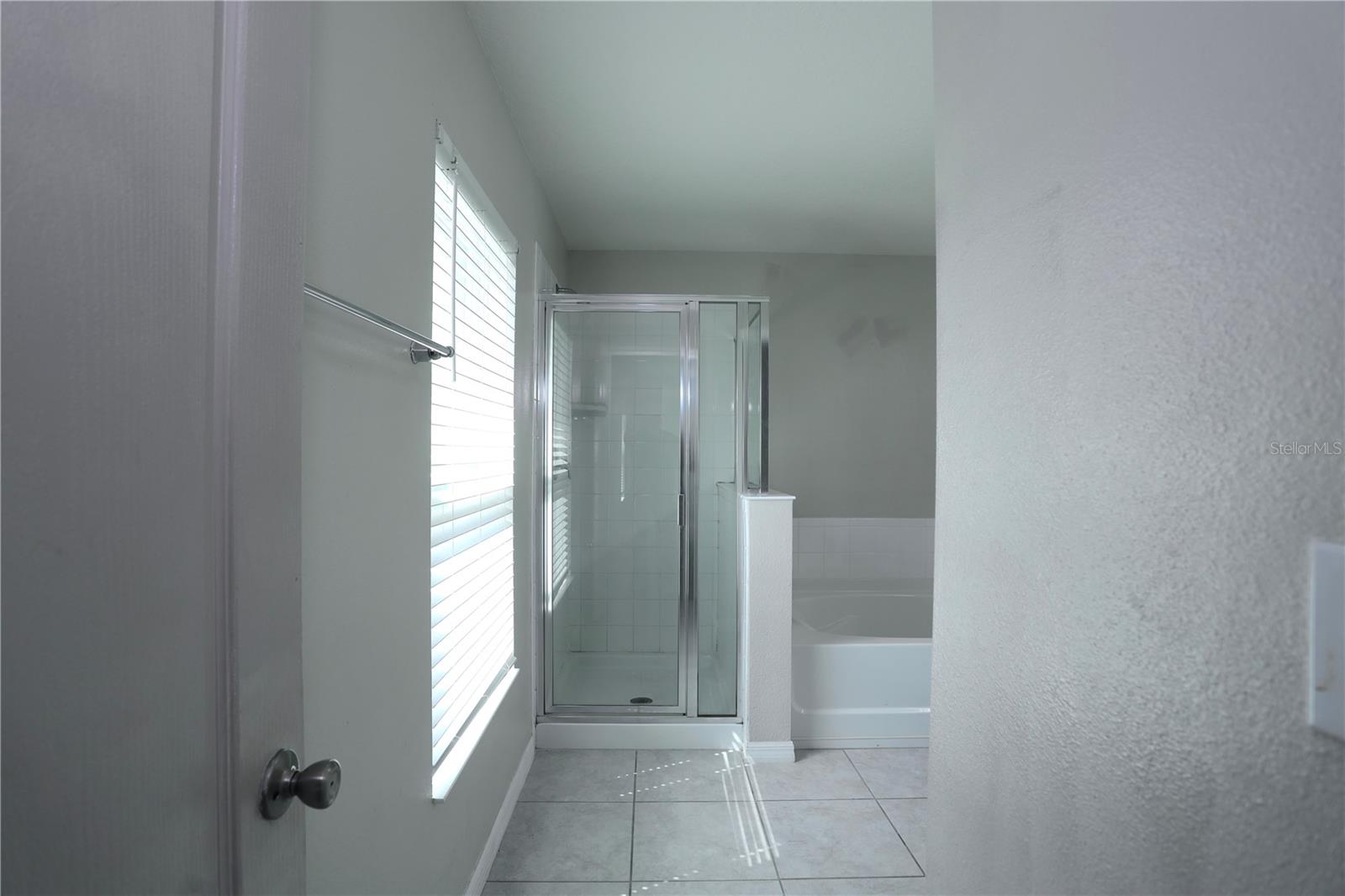 main bathroom - 1141 AUGUSTUS DR, DAVENPORT