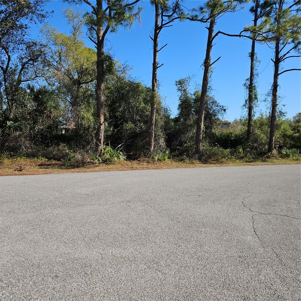 JANARO RD